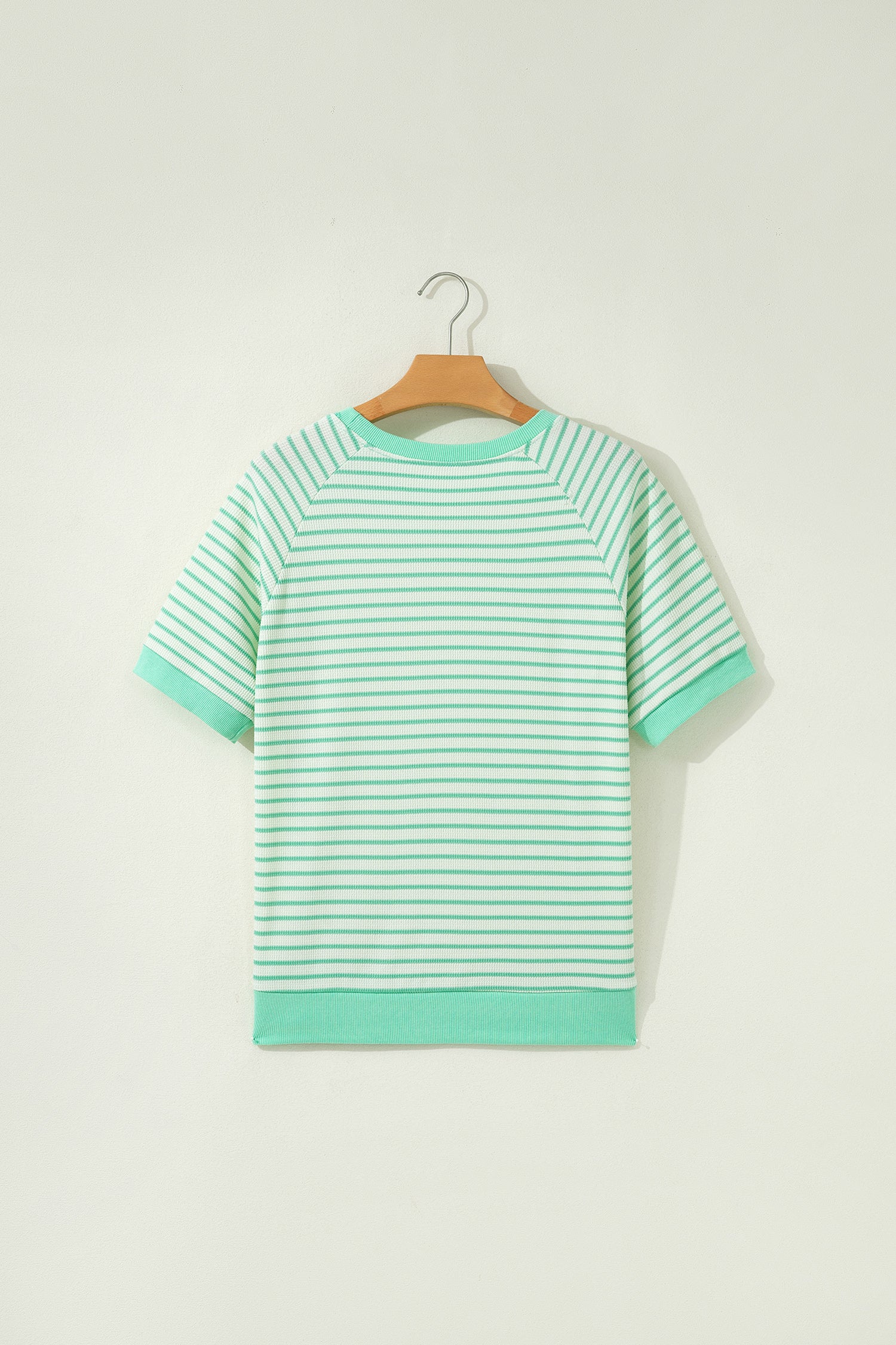 Green Stripe Colorblock Trim Round Neck Short Sleeve Tee-Tops/Tops & Tees-[Adult]-[Female]-2022 Online Blue Zone Planet