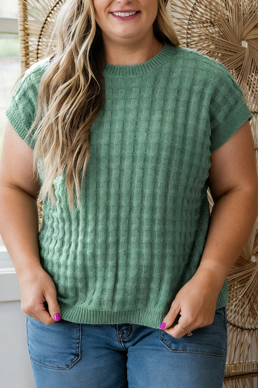 Mist Green Plus Size Solid Color Textured Knit Short Sleeve Sweater-TOPS / DRESSES-[Adult]-[Female]-Mist Green-1X-2022 Online Blue Zone Planet