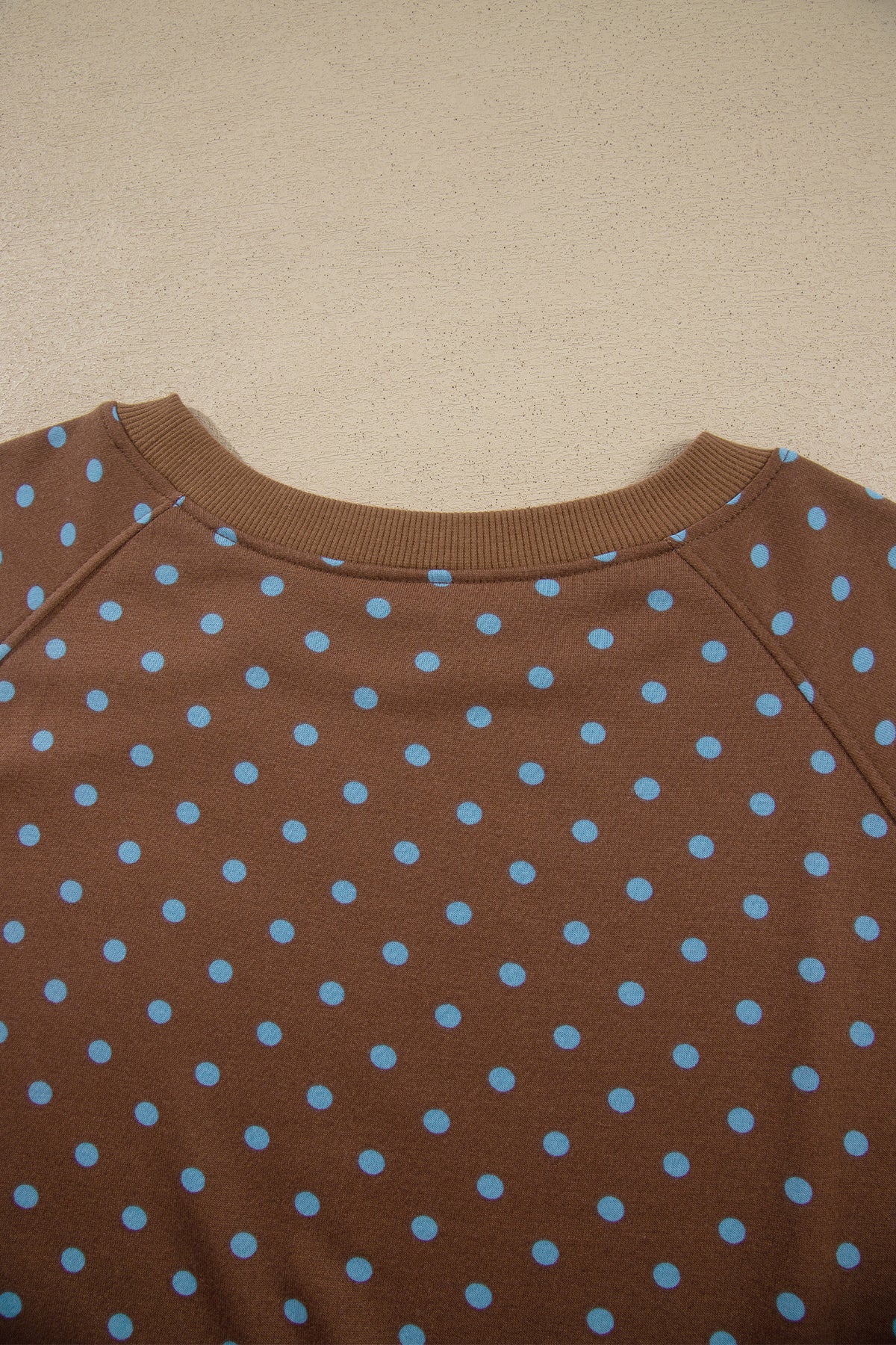 Brown Polka Dot Round Neck Long Sleeve Plus Size Set-Plus Size/Plus Size Loungewear-[Adult]-[Female]-2022 Online Blue Zone Planet