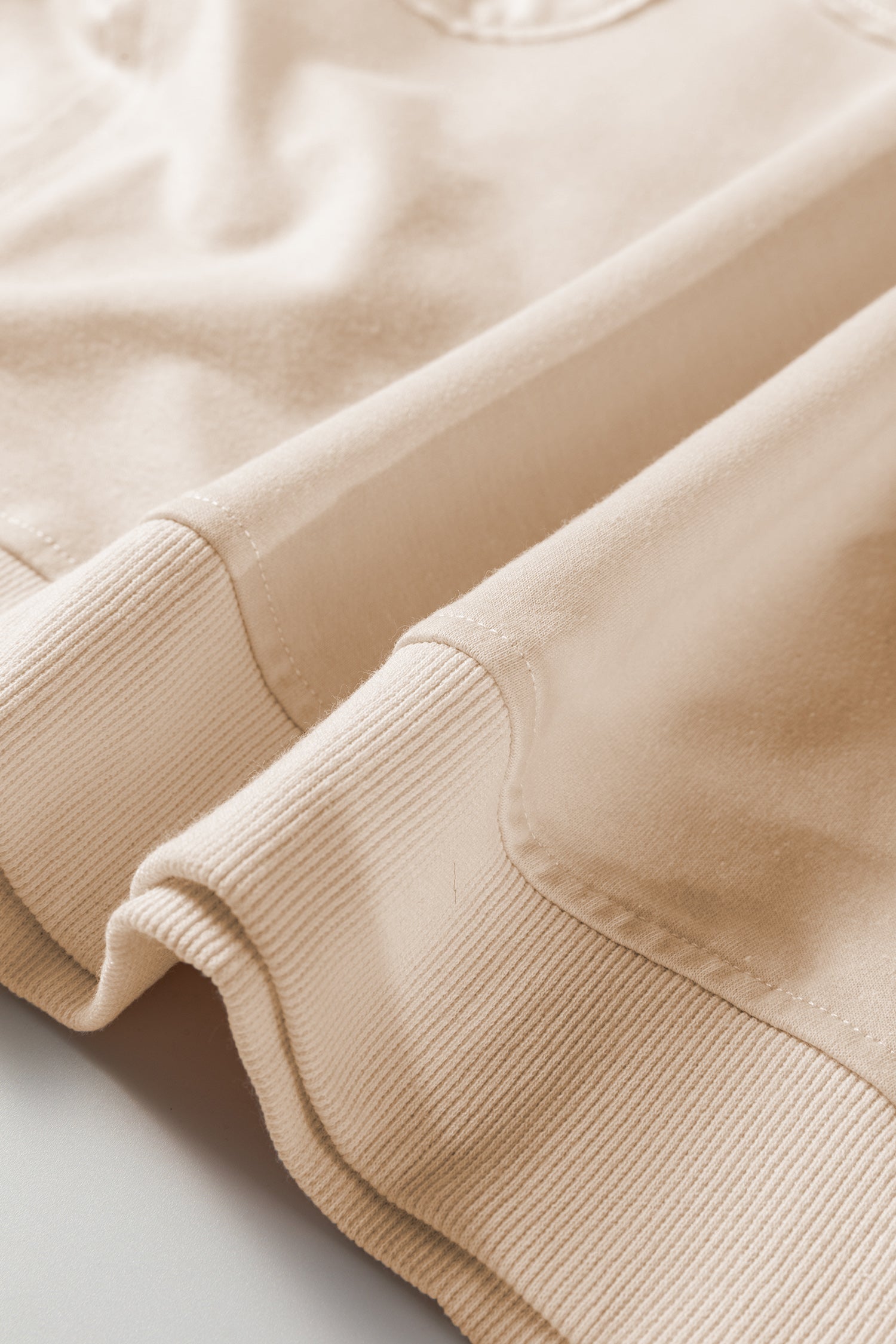 Beige Flower Patched Mineral Wash Round Neck Plus Size Top-Plus Size/Plus Size Tops/Plus Size Long Sleeve Tops-[Adult]-[Female]-2022 Online Blue Zone Planet