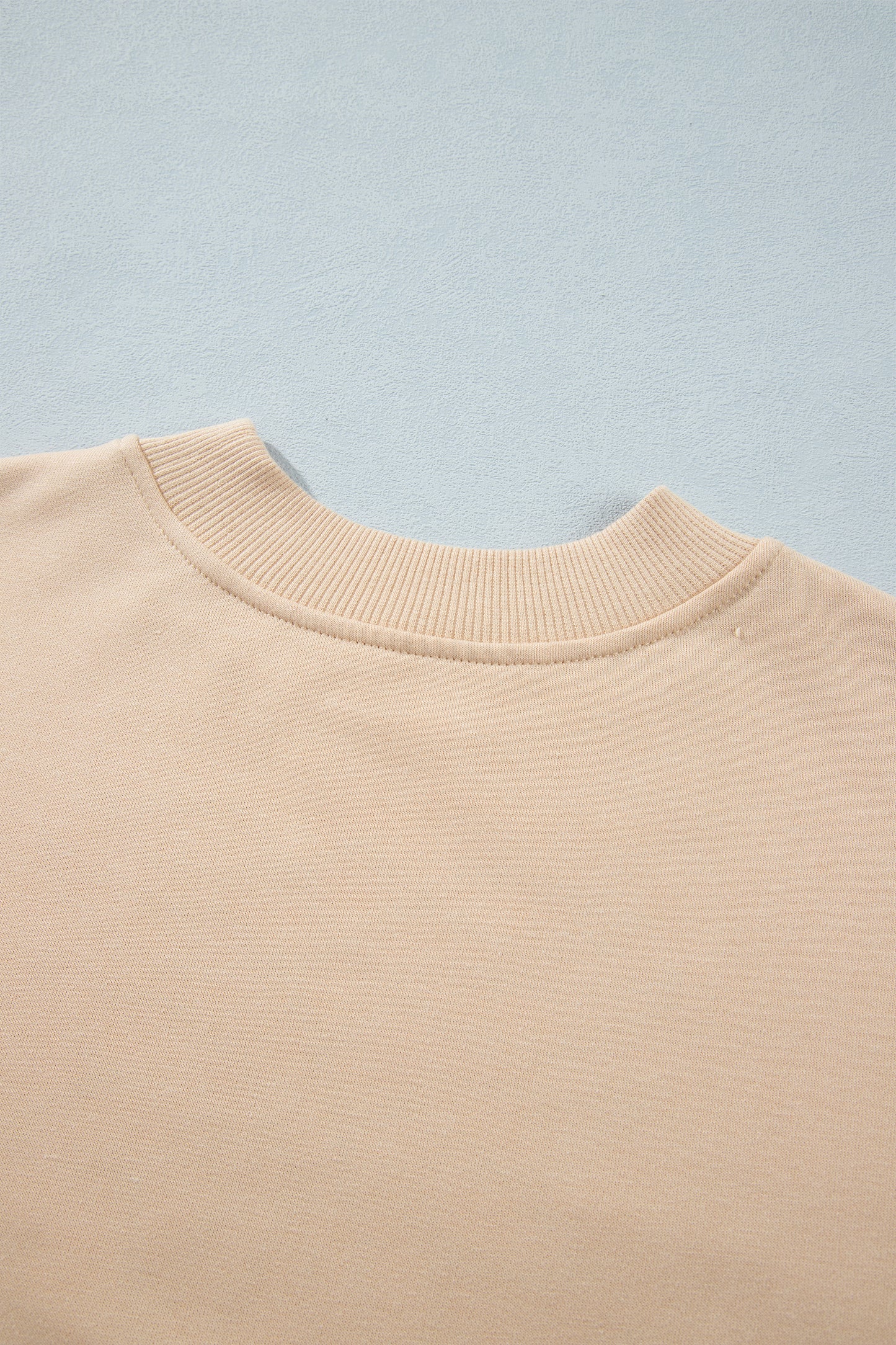 Light French Beige Western Embroidery Round Neck Pullover Long Sleeve Sweatshirt-Tops/Sweatshirts & Hoodies-[Adult]-[Female]-2022 Online Blue Zone Planet