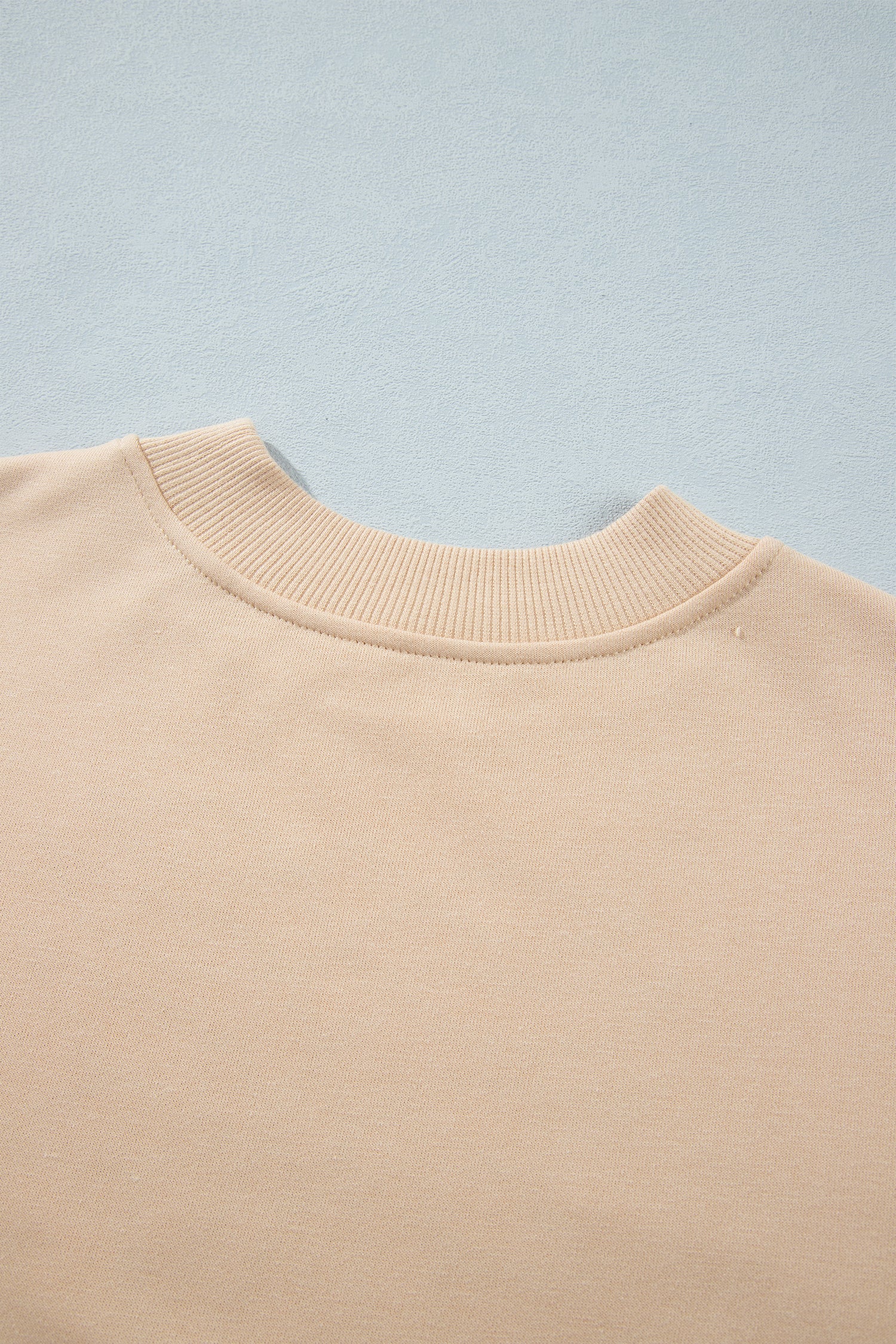 Light French Beige Western Embroidery Round Neck Pullover Long Sleeve Sweatshirt-Tops/Sweatshirts & Hoodies-[Adult]-[Female]-2022 Online Blue Zone Planet