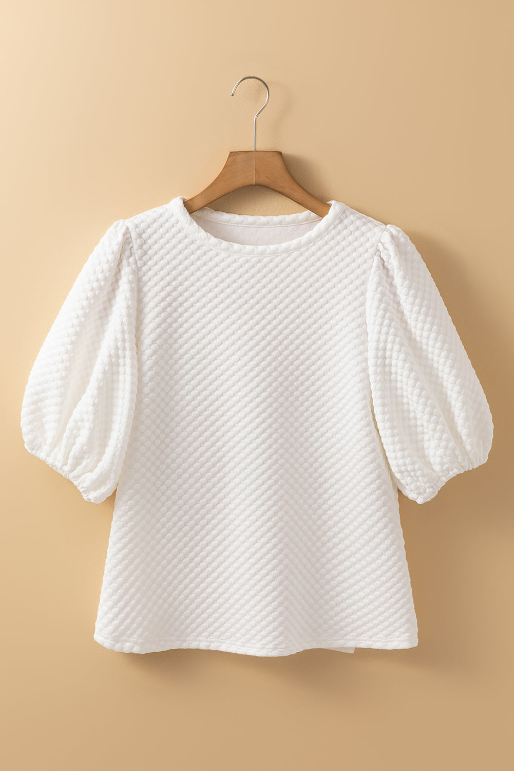Textured Round Neck Puff Sleeve Blouse-TOPS / DRESSES-[Adult]-[Female]-2022 Online Blue Zone Planet