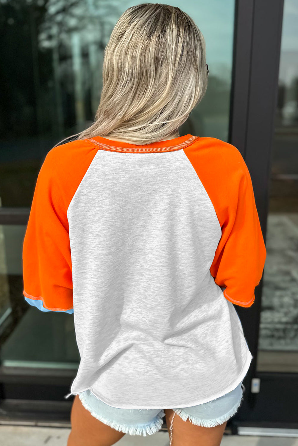 Light Grey Color Block Raglan Sleeve Contrast Stitching Loose Fit Top-Tops/Long Sleeve Tops-[Adult]-[Female]-2022 Online Blue Zone Planet
