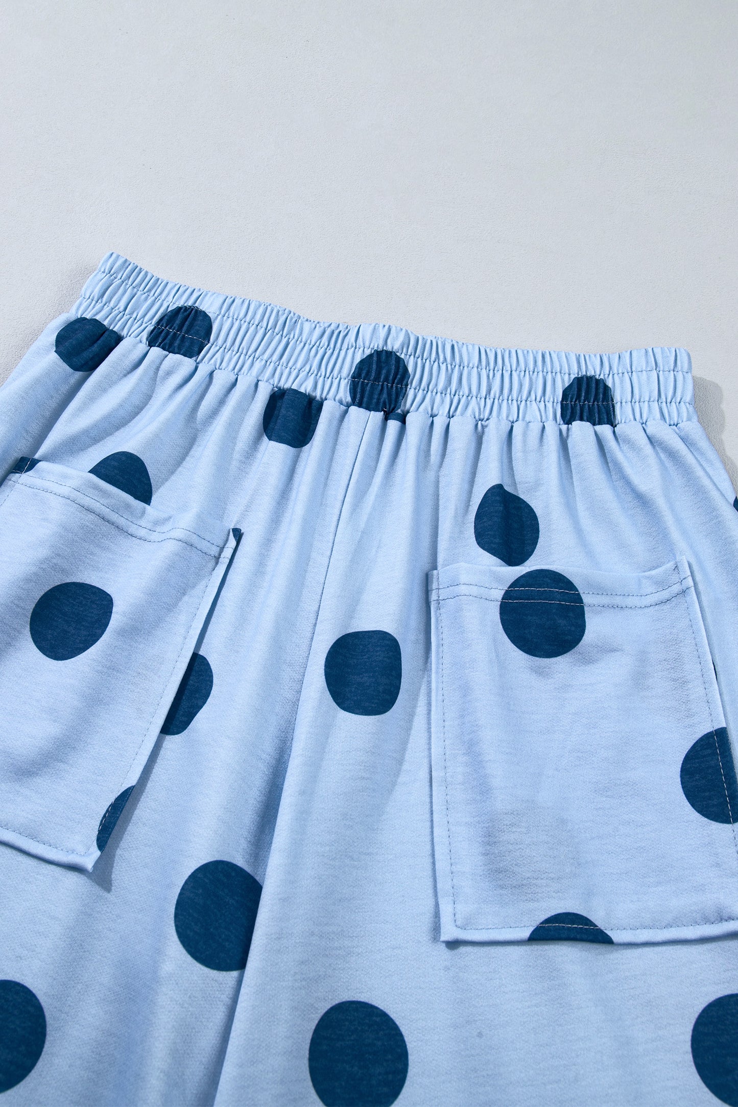 Sky Blue Polka Dot Wide Leg Elastic Waist Casual Pants-Bottoms/Pants & Culotte-[Adult]-[Female]-2022 Online Blue Zone Planet