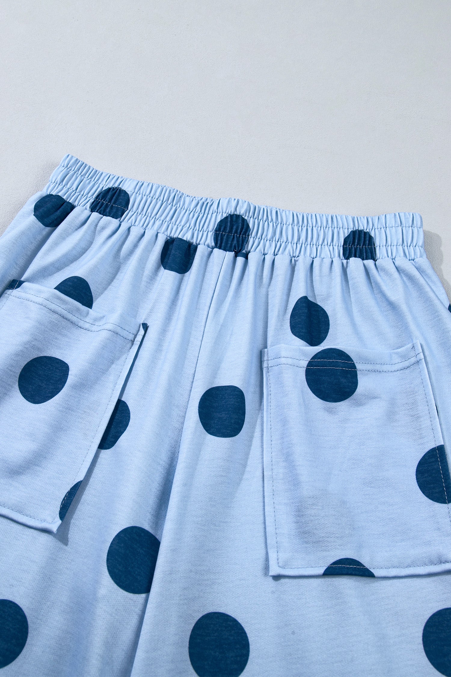 Sky Blue Polka Dot Wide Leg Elastic Waist Casual Pants-Bottoms/Pants & Culotte-[Adult]-[Female]-2022 Online Blue Zone Planet