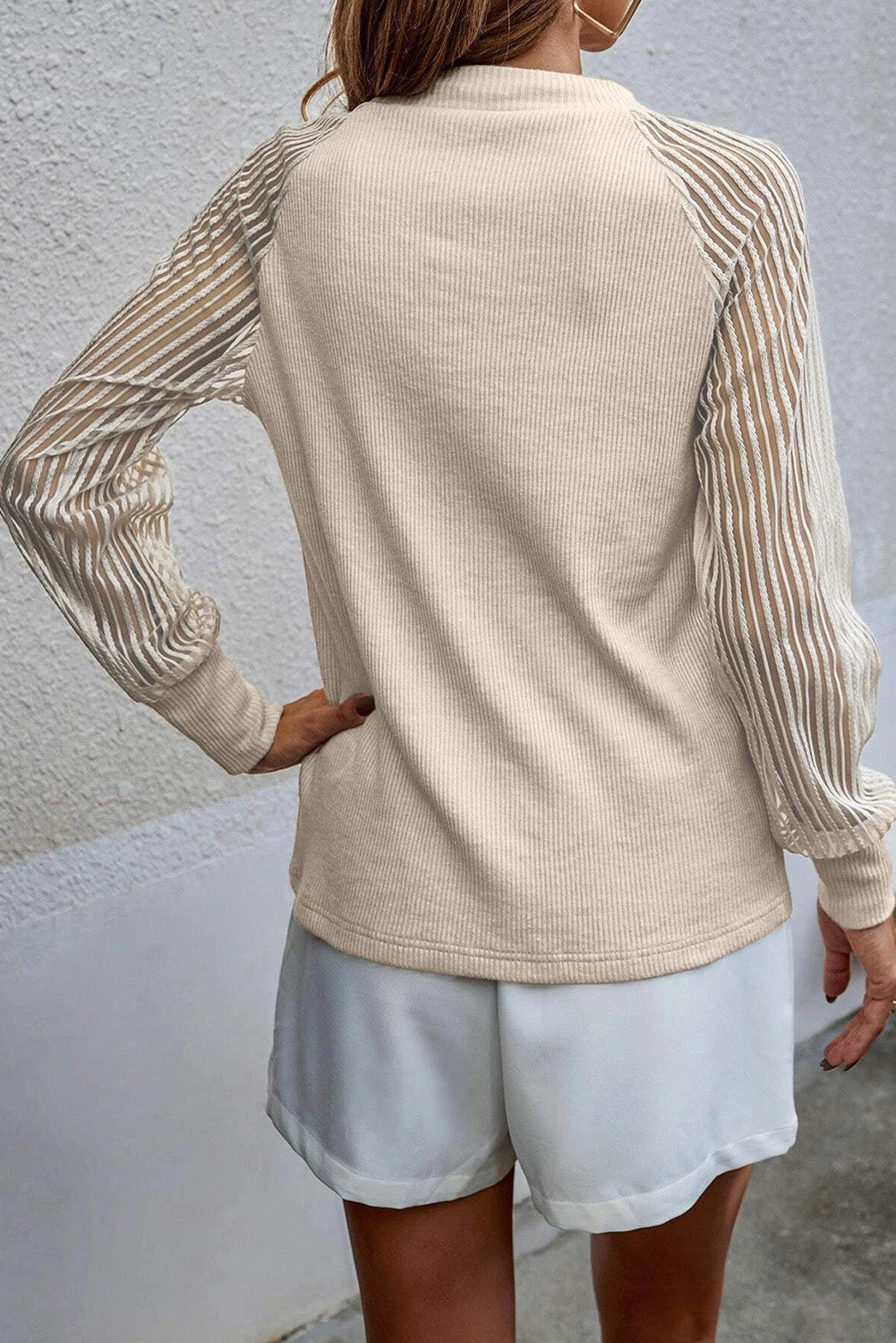 Pink Black Striped Mesh Long Sleeve Crewneck Ribbed Top-Tops/Long Sleeve Tops-[Adult]-[Female]-2022 Online Blue Zone Planet