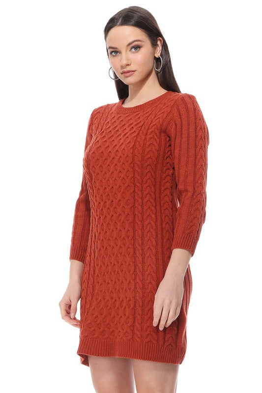 Round Neck Cable Knit Long Sleeve Sweater Dress-[Adult]-[Female]-2022 Online Blue Zone Planet