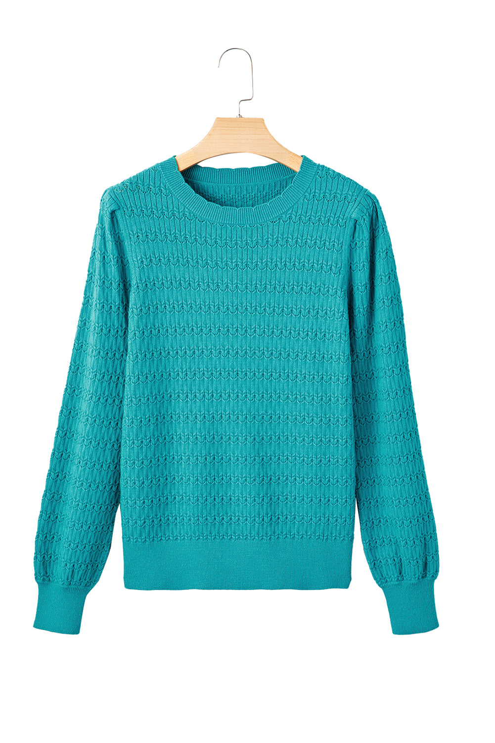 Sea Green Trendy Pattern Knit Ribbed Cuffs Crew Neck Sweater-TOPS / DRESSES-[Adult]-[Female]-2022 Online Blue Zone Planet