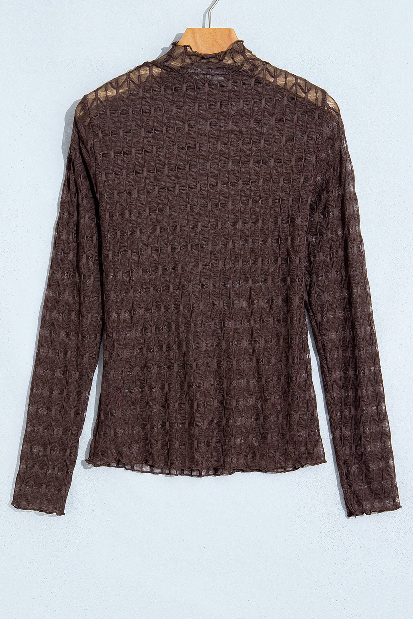 Chicory Coffee Sheer Textured Lace Stand Neck Long Sleeve Top-Tops/Long Sleeve Tops-[Adult]-[Female]-2022 Online Blue Zone Planet