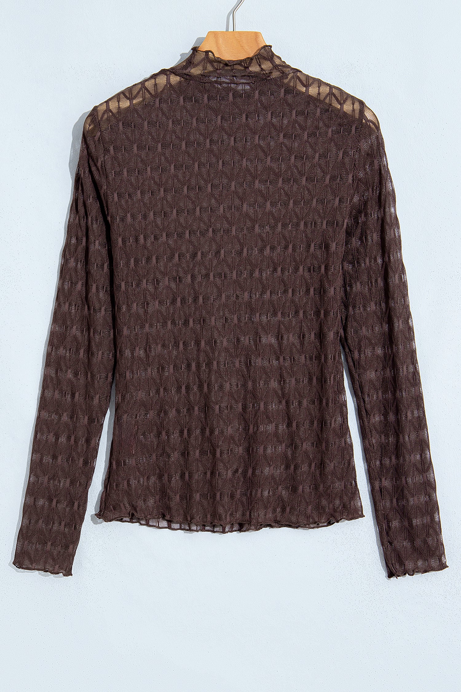 Chicory Coffee Sheer Textured Lace Stand Neck Long Sleeve Top-Tops/Long Sleeve Tops-[Adult]-[Female]-2022 Online Blue Zone Planet
