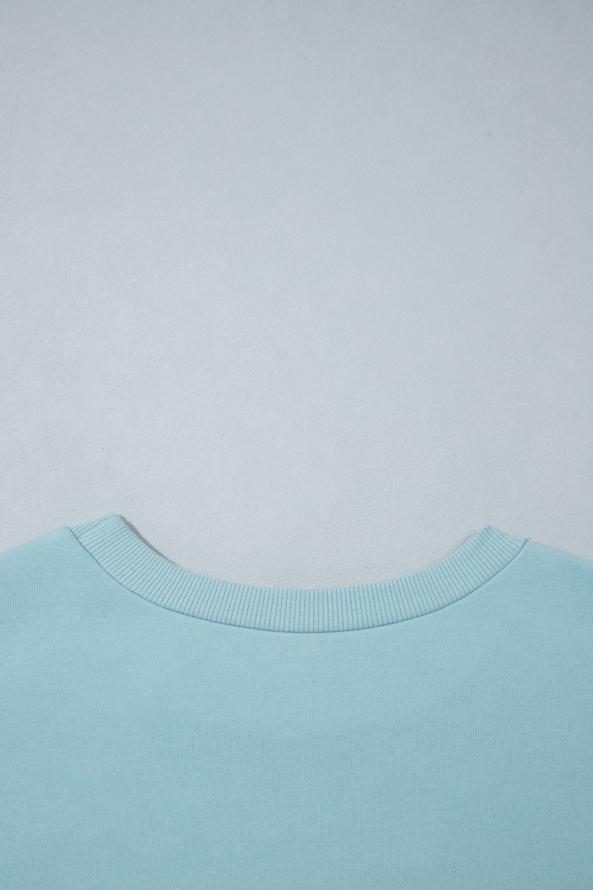 Haze Blue Letter Print Round Neck Loose Fit Long Sleeve Plus Size Sweatshirt-Plus Size/Plus Size Sweatshirts & Hoodies-[Adult]-[Female]-2022 Online Blue Zone Planet