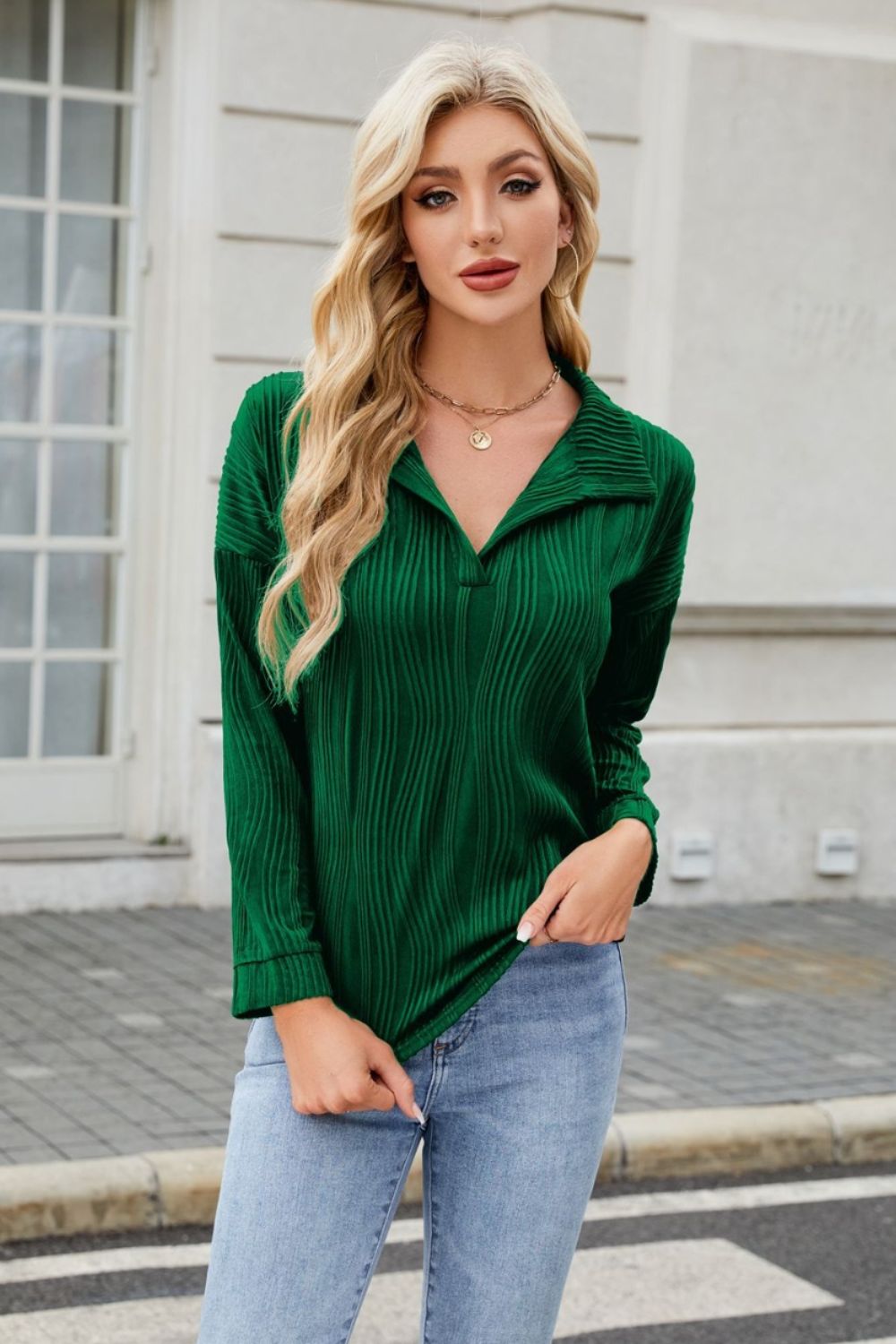 Texture Collared Neck Long Sleeve Blouse-TOPS / DRESSES-[Adult]-[Female]-2022 Online Blue Zone Planet