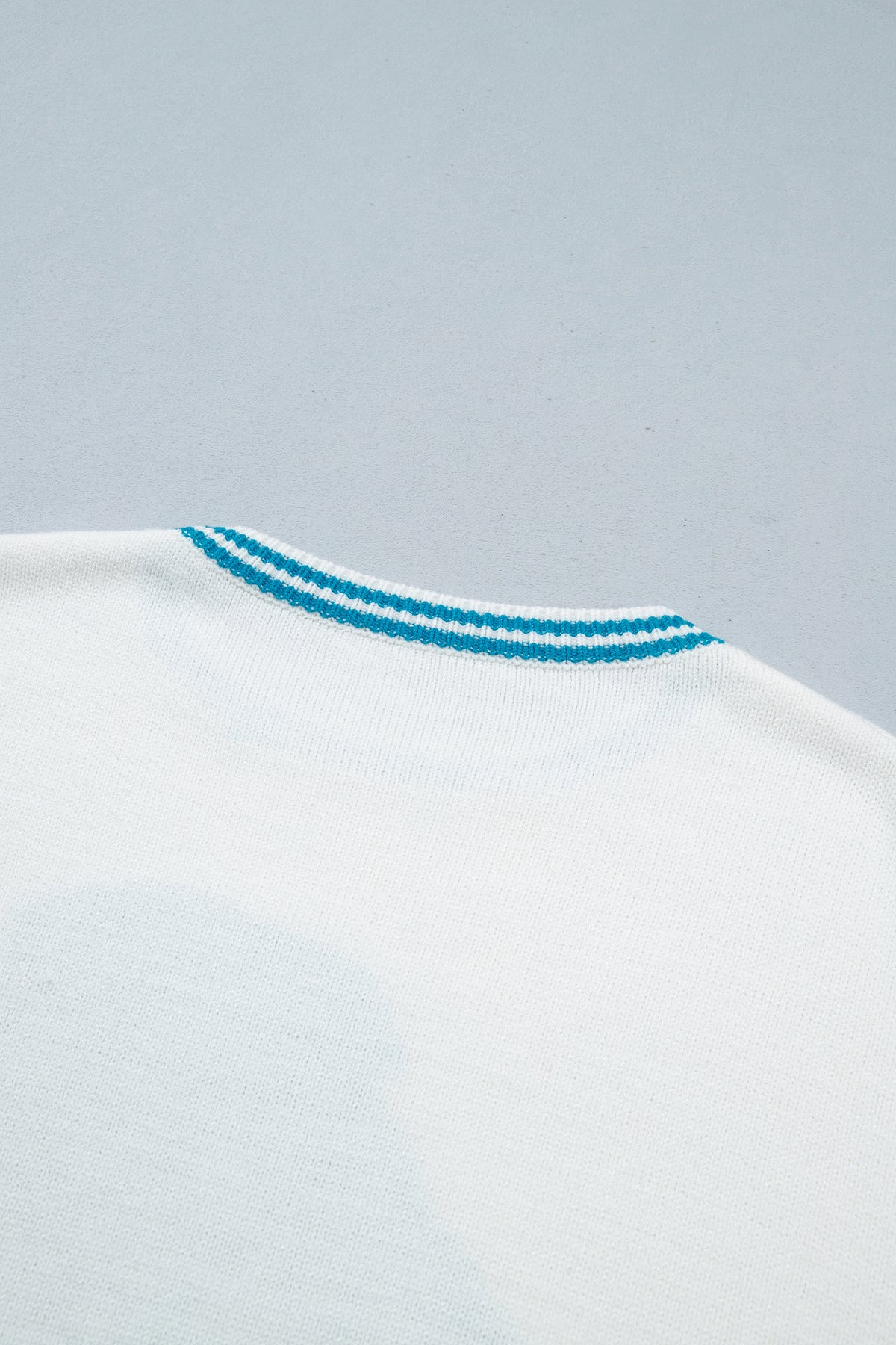 Light Blue Bulldog Contrast Trim Round Neck Casual Sweater-TOPS / DRESSES-[Adult]-[Female]-2022 Online Blue Zone Planet