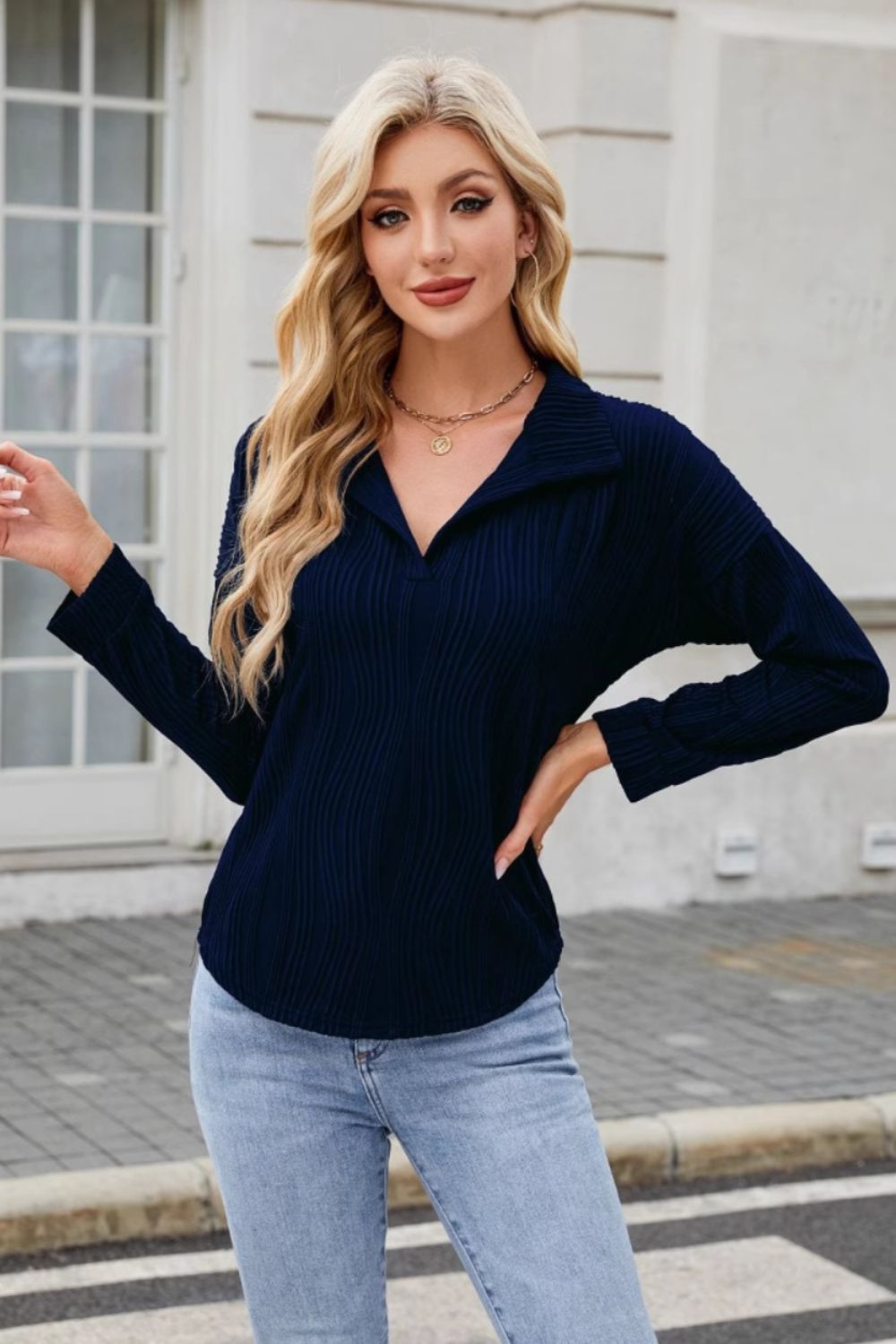 Texture Collared Neck Long Sleeve Blouse-TOPS / DRESSES-[Adult]-[Female]-2022 Online Blue Zone Planet