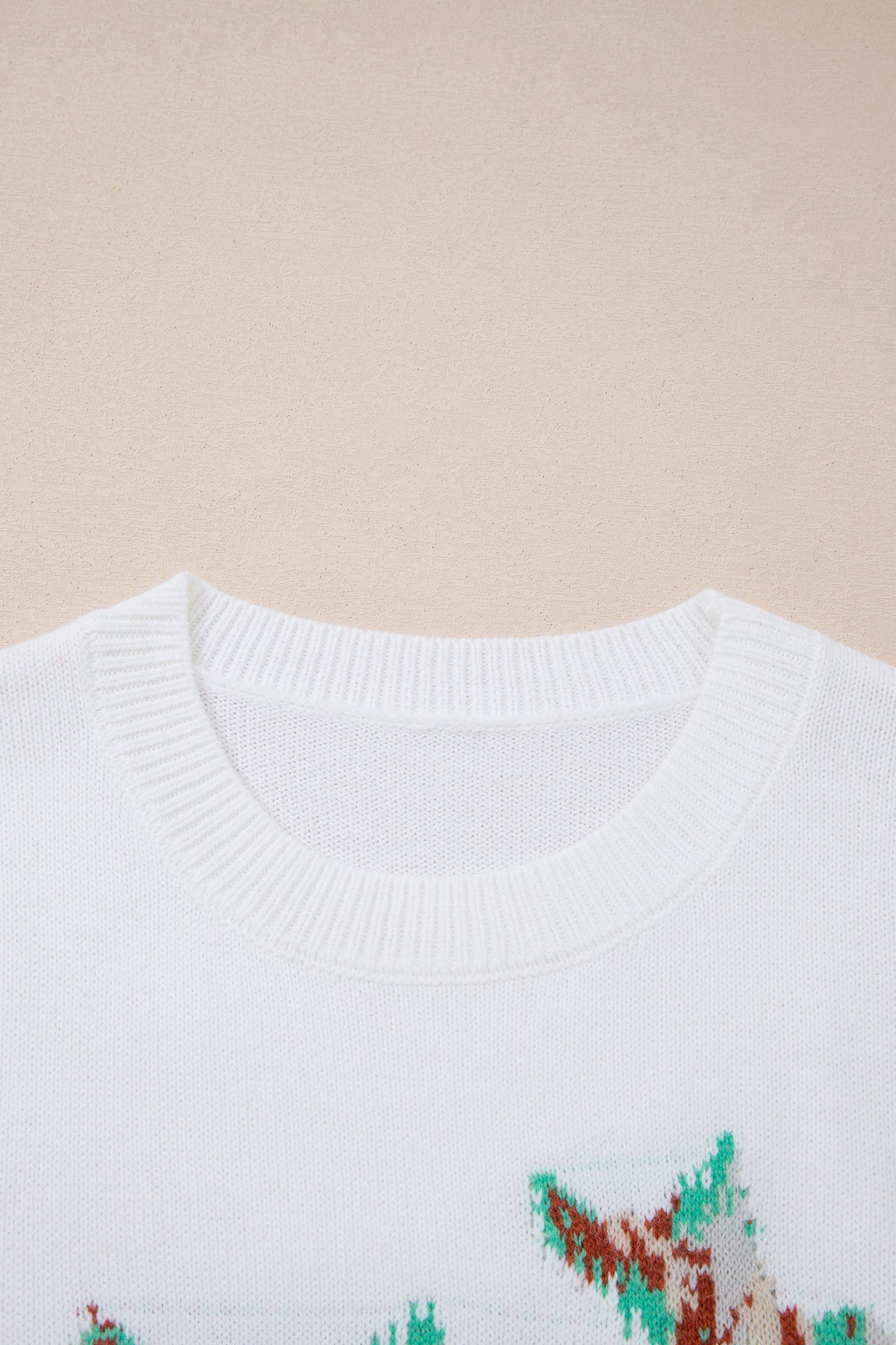 White Retro Flying Mallard Pattern Drop Shoulder Pullover Sweater-TOPS / DRESSES-[Adult]-[Female]-2022 Online Blue Zone Planet