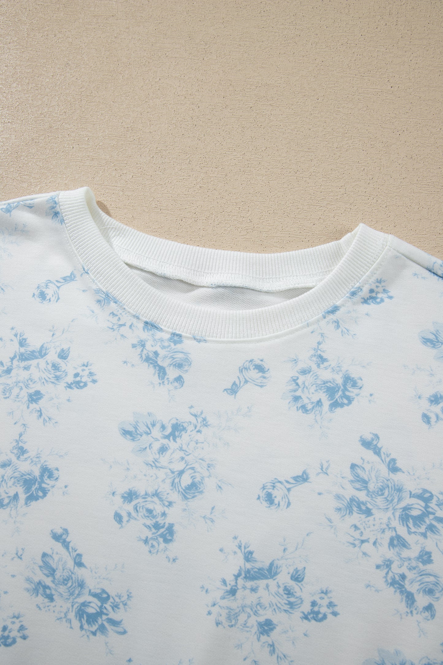 Sky Blue Floral Print Striped Detail Long Sleeve Top Ruffle Hem Shorts 2pcs Set-Two Piece Sets/Short Sets-[Adult]-[Female]-2022 Online Blue Zone Planet