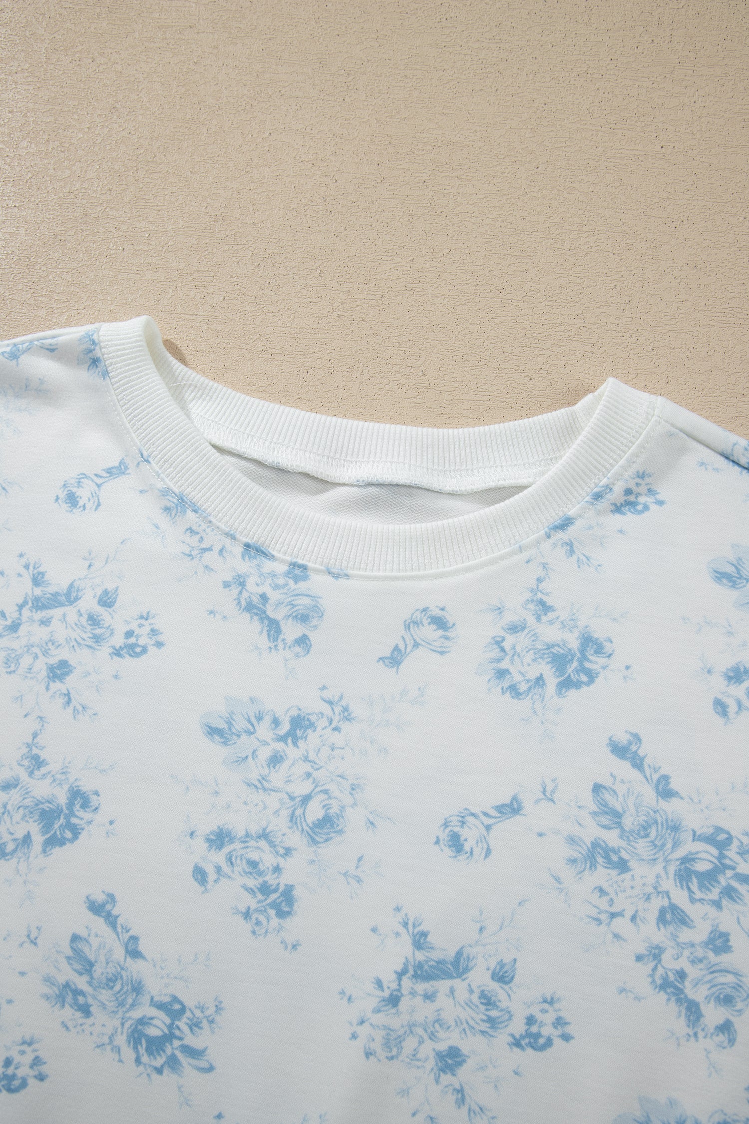 Sky Blue Floral Print Striped Detail Long Sleeve Top Ruffle Hem Shorts 2pcs Set-Two Piece Sets/Short Sets-[Adult]-[Female]-2022 Online Blue Zone Planet