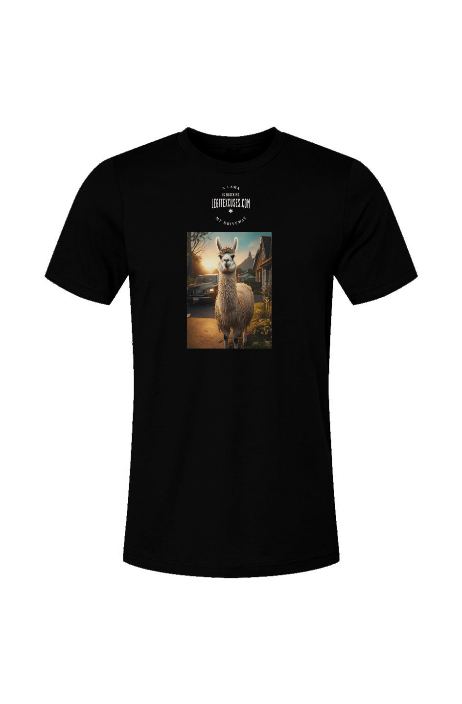 A Lama is Blocking My Driveway T-Shirt