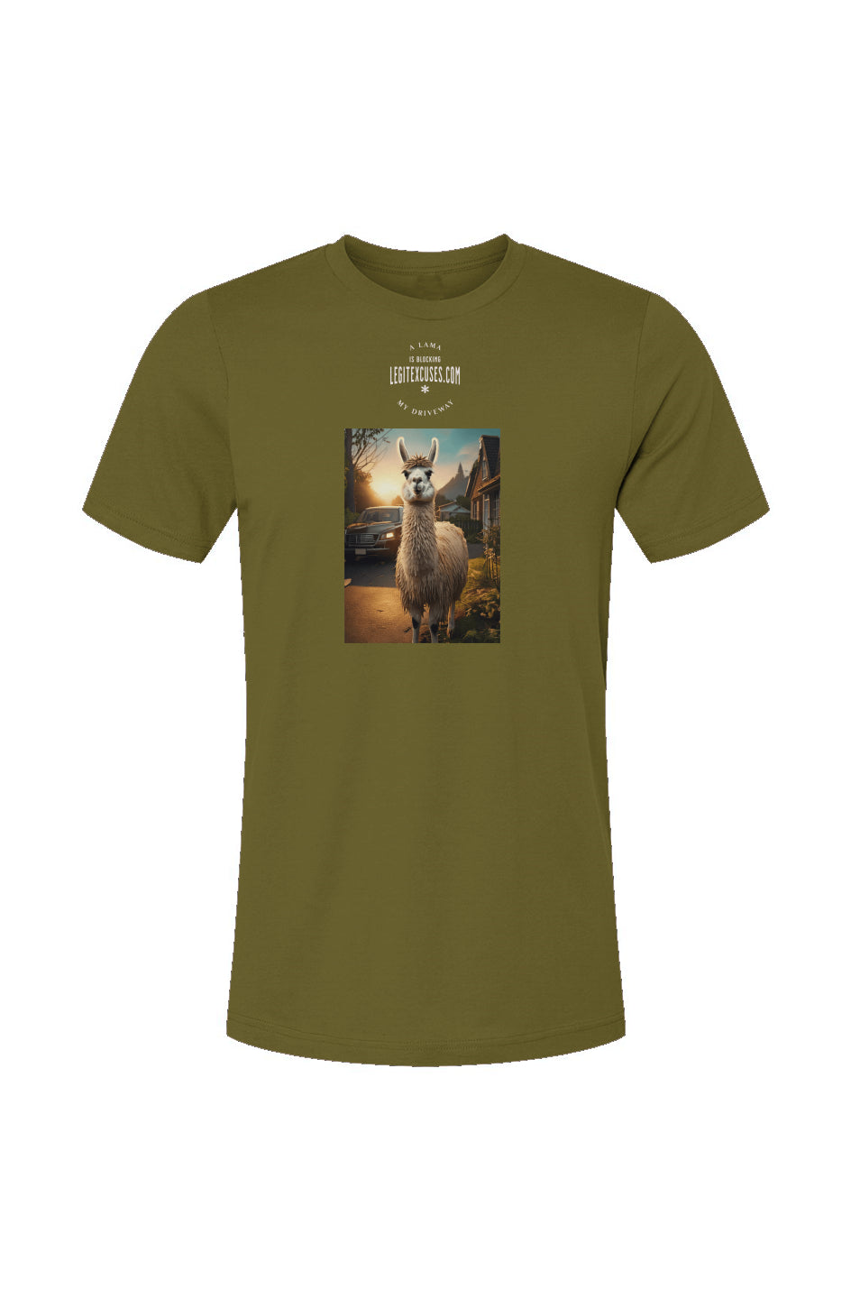 A Lama is Blocking My Driveway T-Shirt