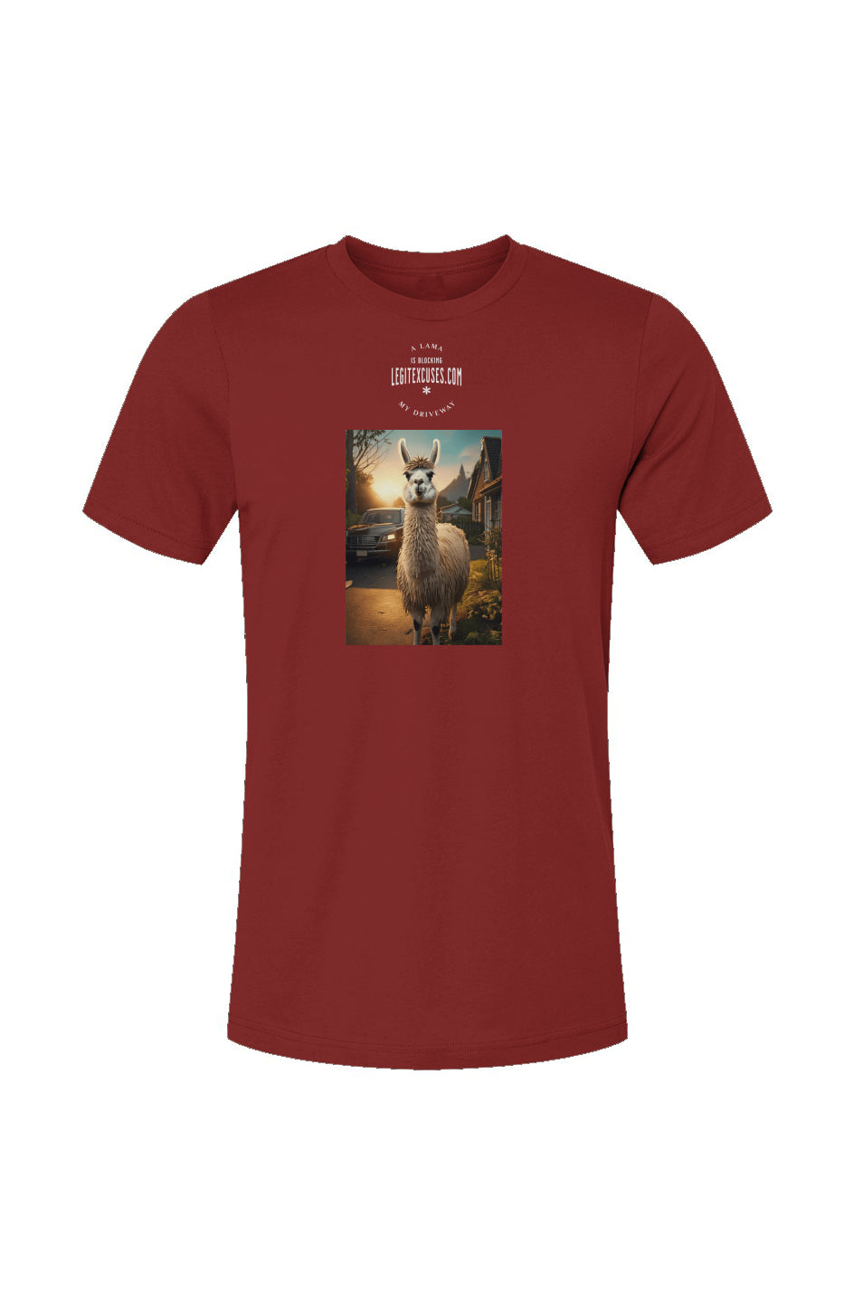 A Lama is Blocking My Driveway T-Shirt