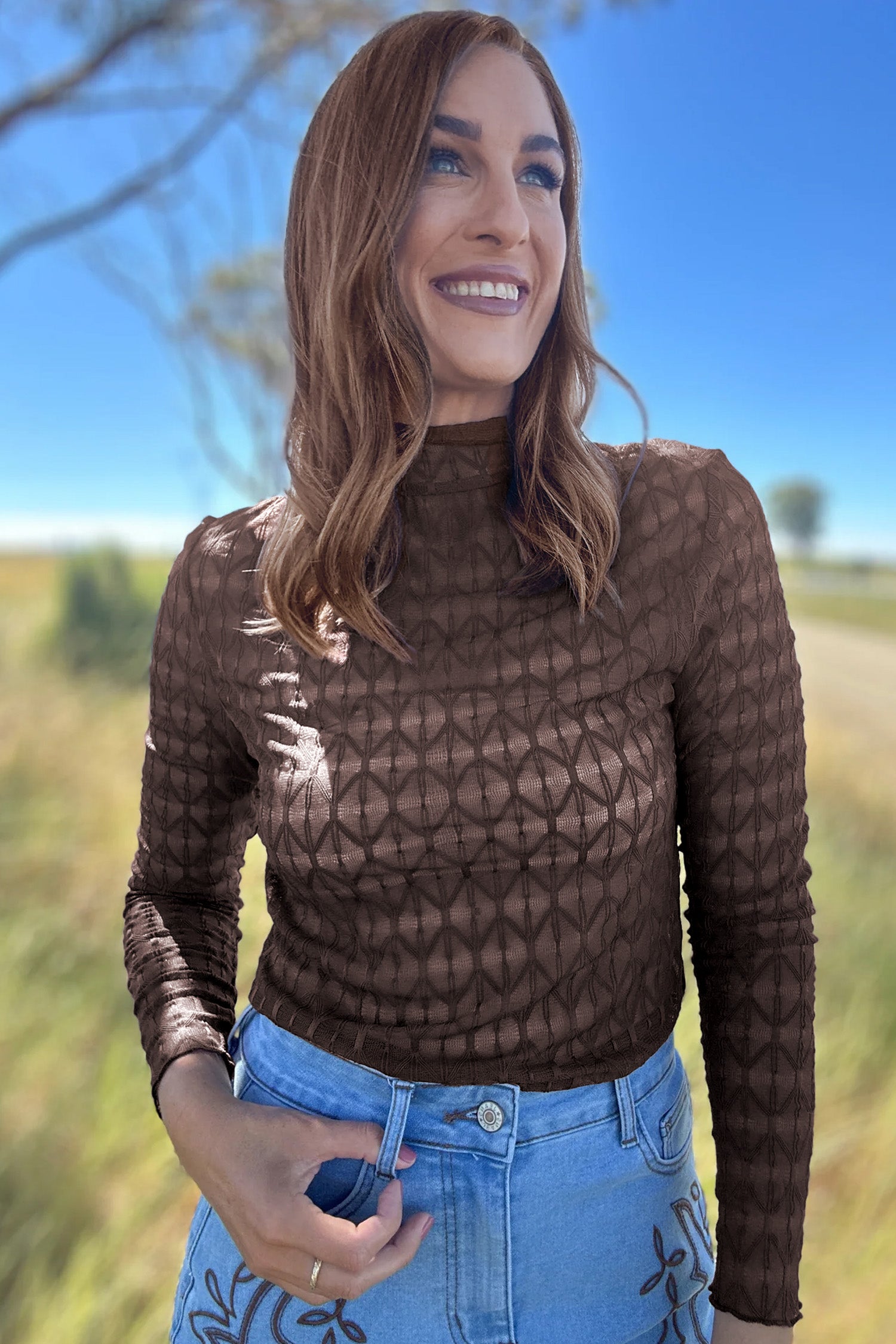 Chicory Coffee Sheer Textured Lace Stand Neck Long Sleeve Top-Tops/Long Sleeve Tops-[Adult]-[Female]-2022 Online Blue Zone Planet