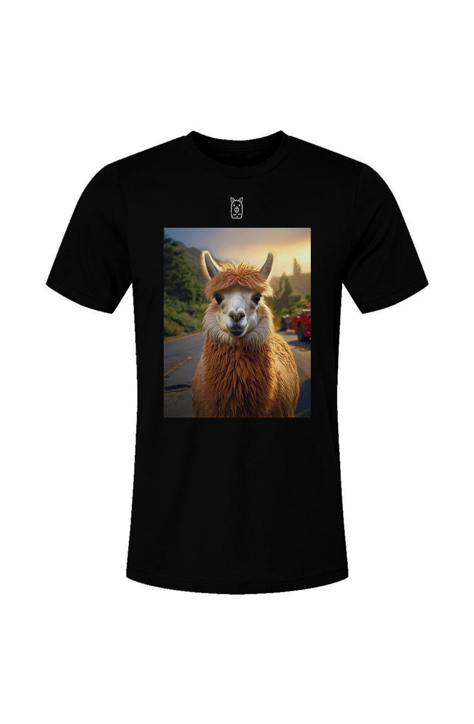 Unisex Jersey T-Shirt