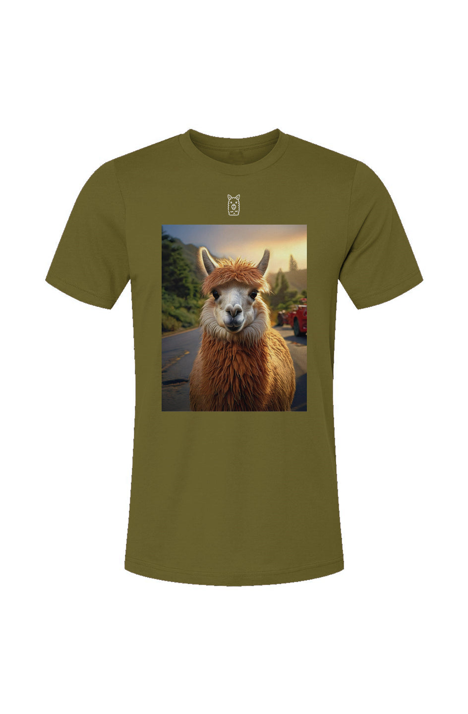Unisex Jersey T-Shirt