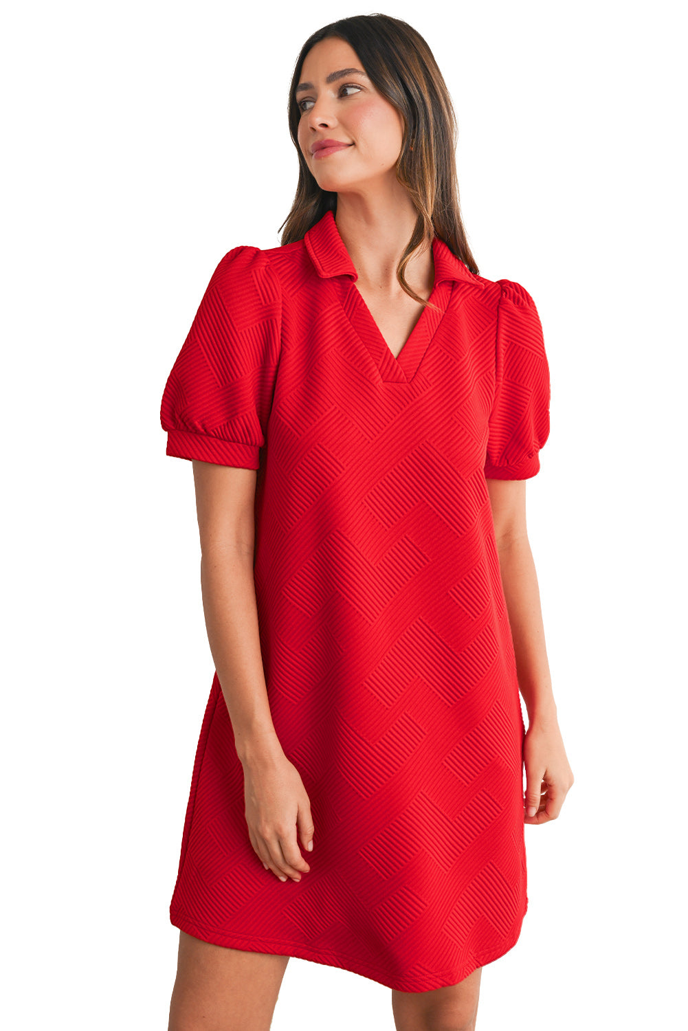 Blue Zone Planet |  Fiery Red V Neck Puff Sleeve Textured Mini Dress