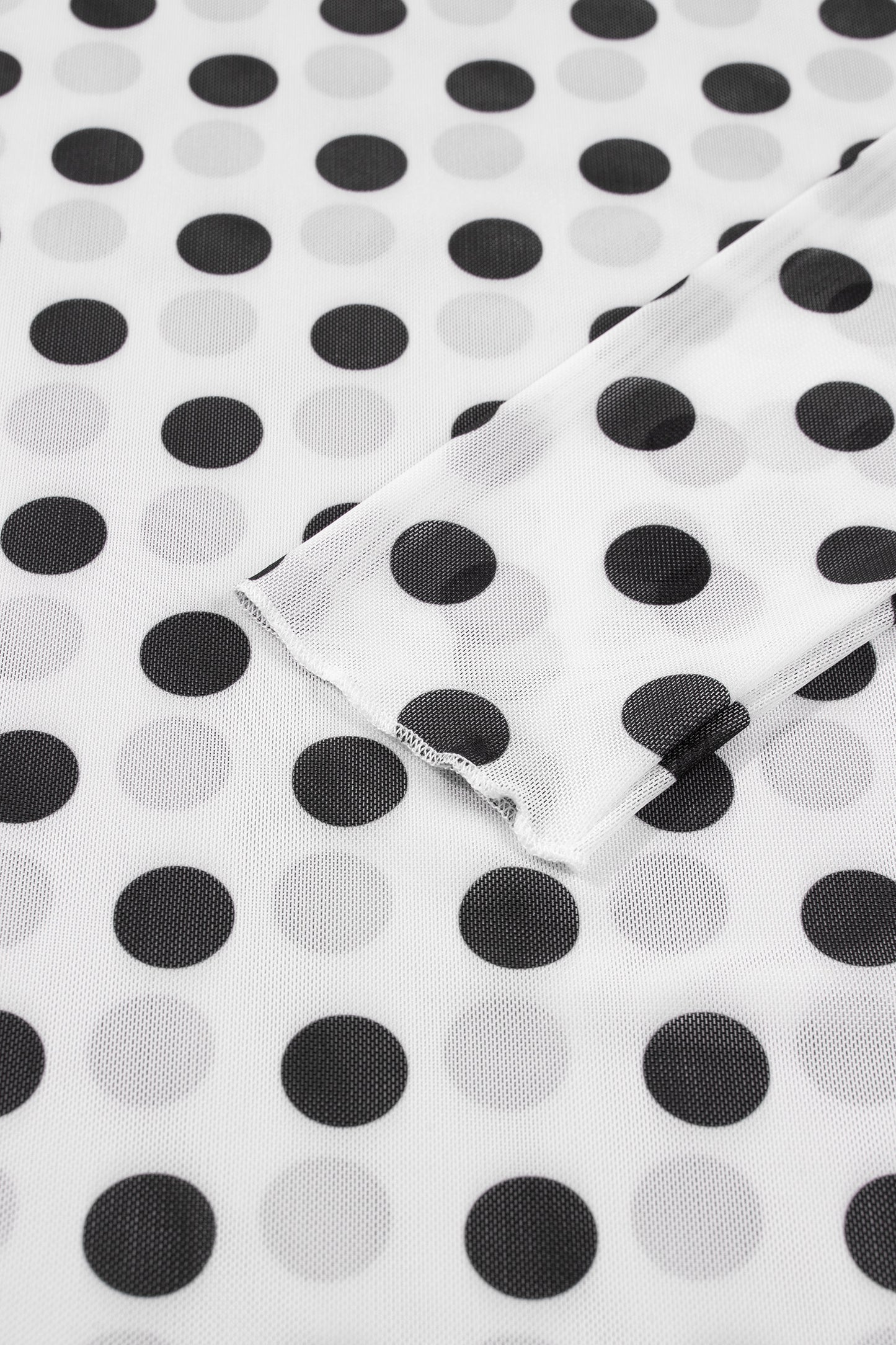 White Polka Dot Sheer Long Sleeve Round Neck Slim Top-Tops/Long Sleeve Tops-[Adult]-[Female]-2022 Online Blue Zone Planet