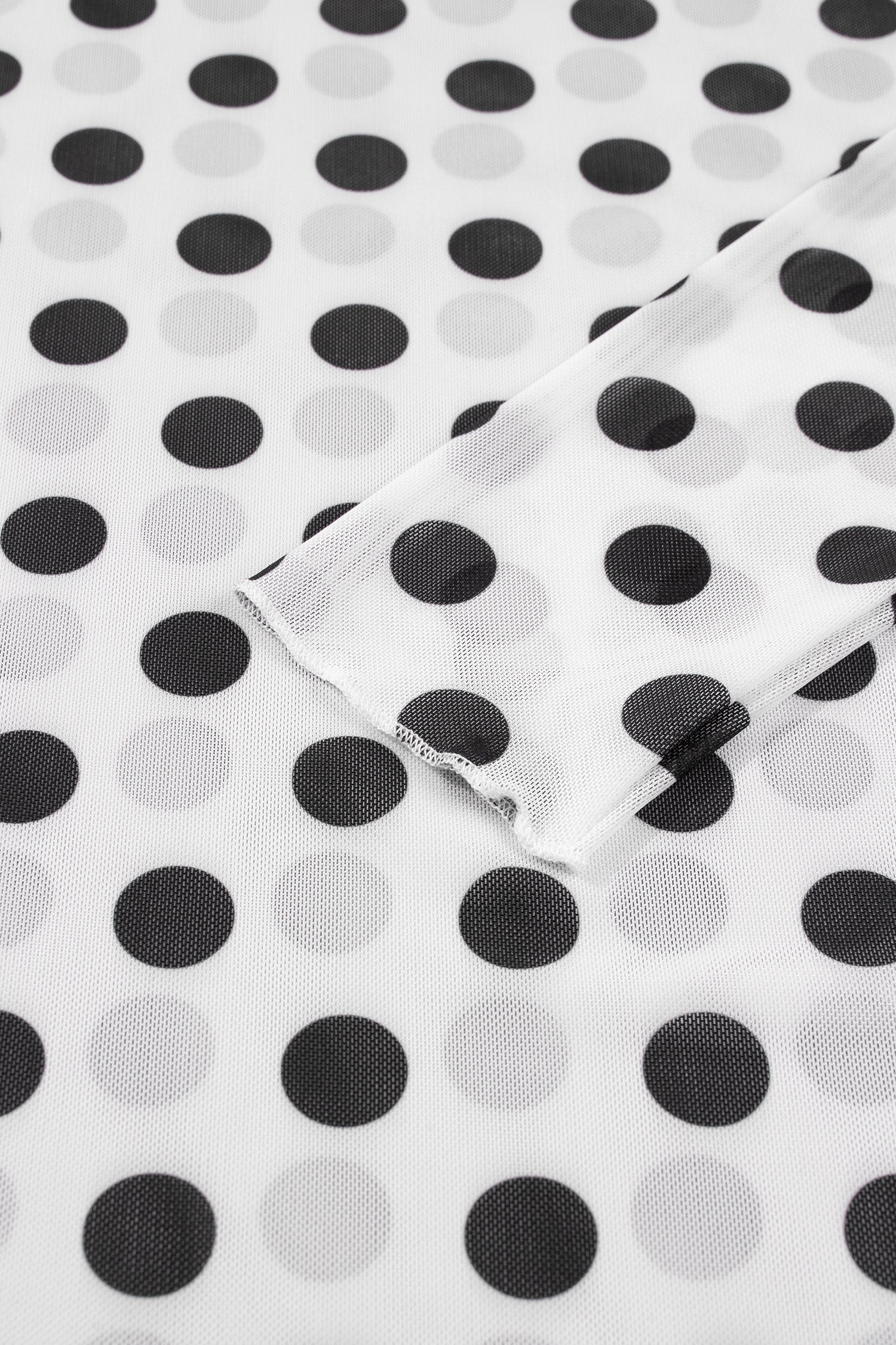White Polka Dot Sheer Long Sleeve Round Neck Slim Top-Tops/Long Sleeve Tops-[Adult]-[Female]-2022 Online Blue Zone Planet