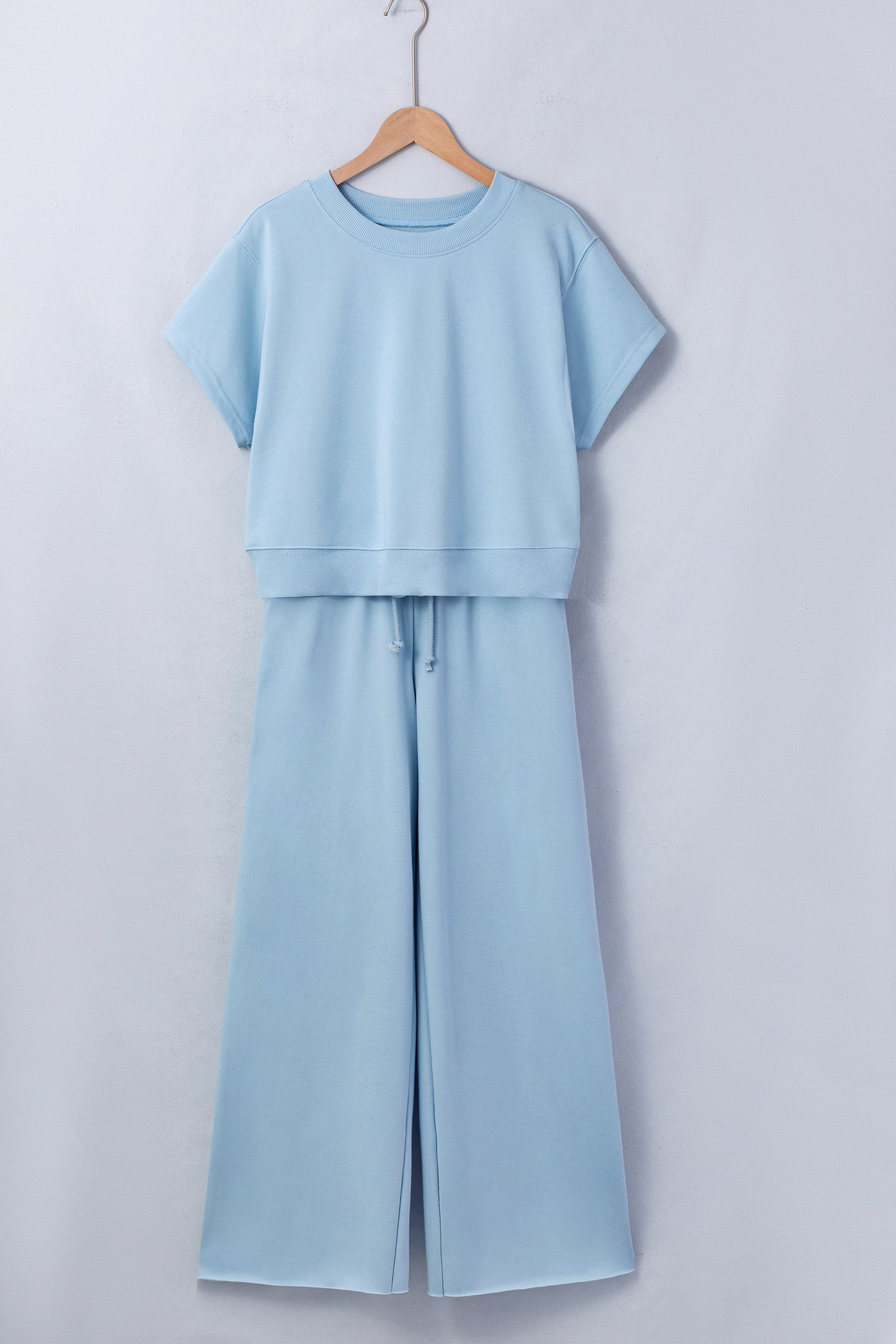 Mist Blue Solid Color Loose Tee Drawstring Wide Leg Pants 2pcs Outfit-Two Piece Sets/Pant Sets-[Adult]-[Female]-2022 Online Blue Zone Planet