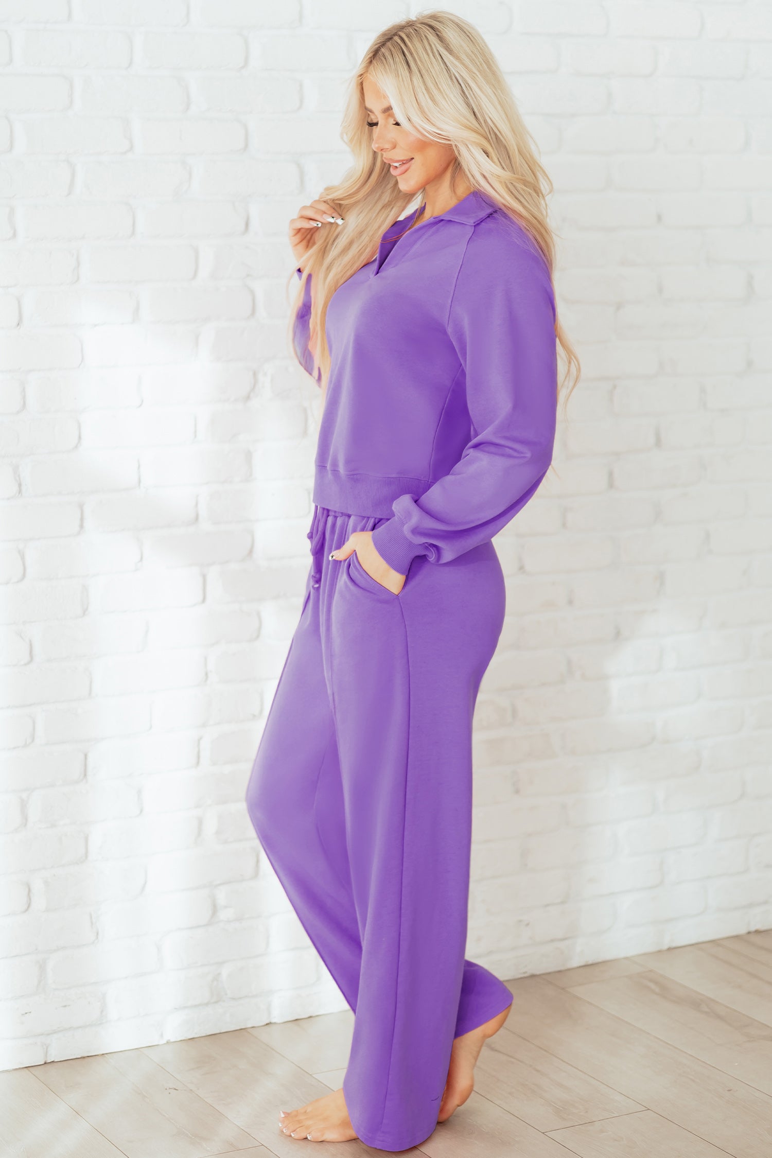 Wisteria Solid Color Collared Pullover and Central Seam Pants Set-Two Piece Sets/Pant Sets-[Adult]-[Female]-2022 Online Blue Zone Planet