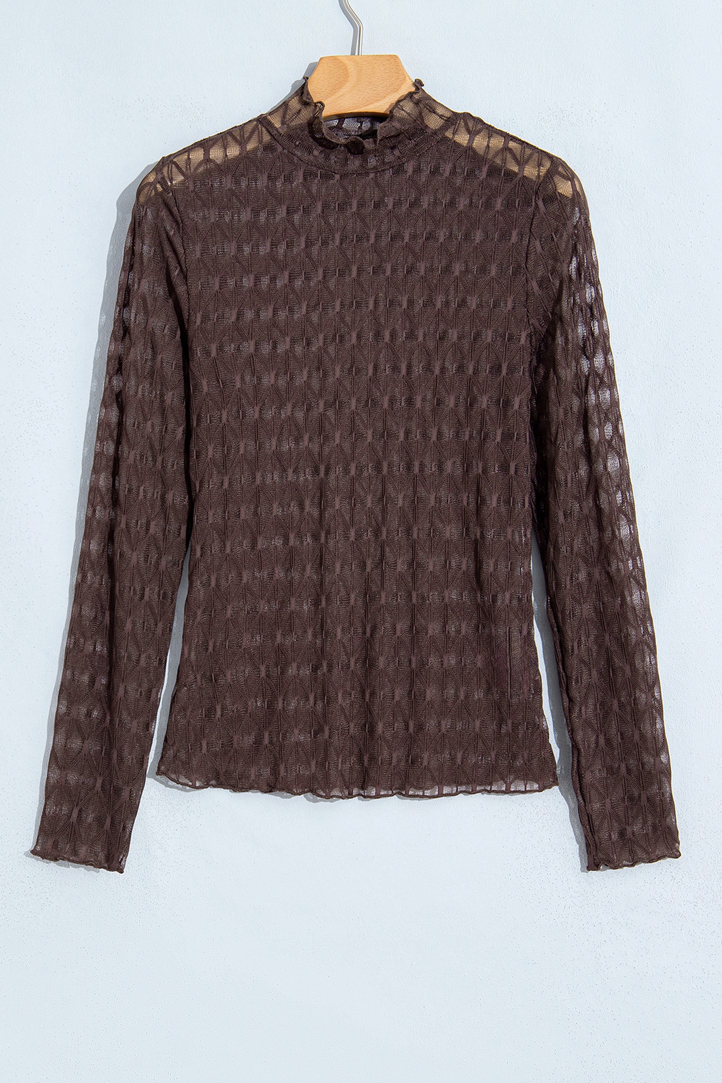 Chicory Coffee Sheer Textured Lace Stand Neck Long Sleeve Top-Tops/Long Sleeve Tops-[Adult]-[Female]-2022 Online Blue Zone Planet