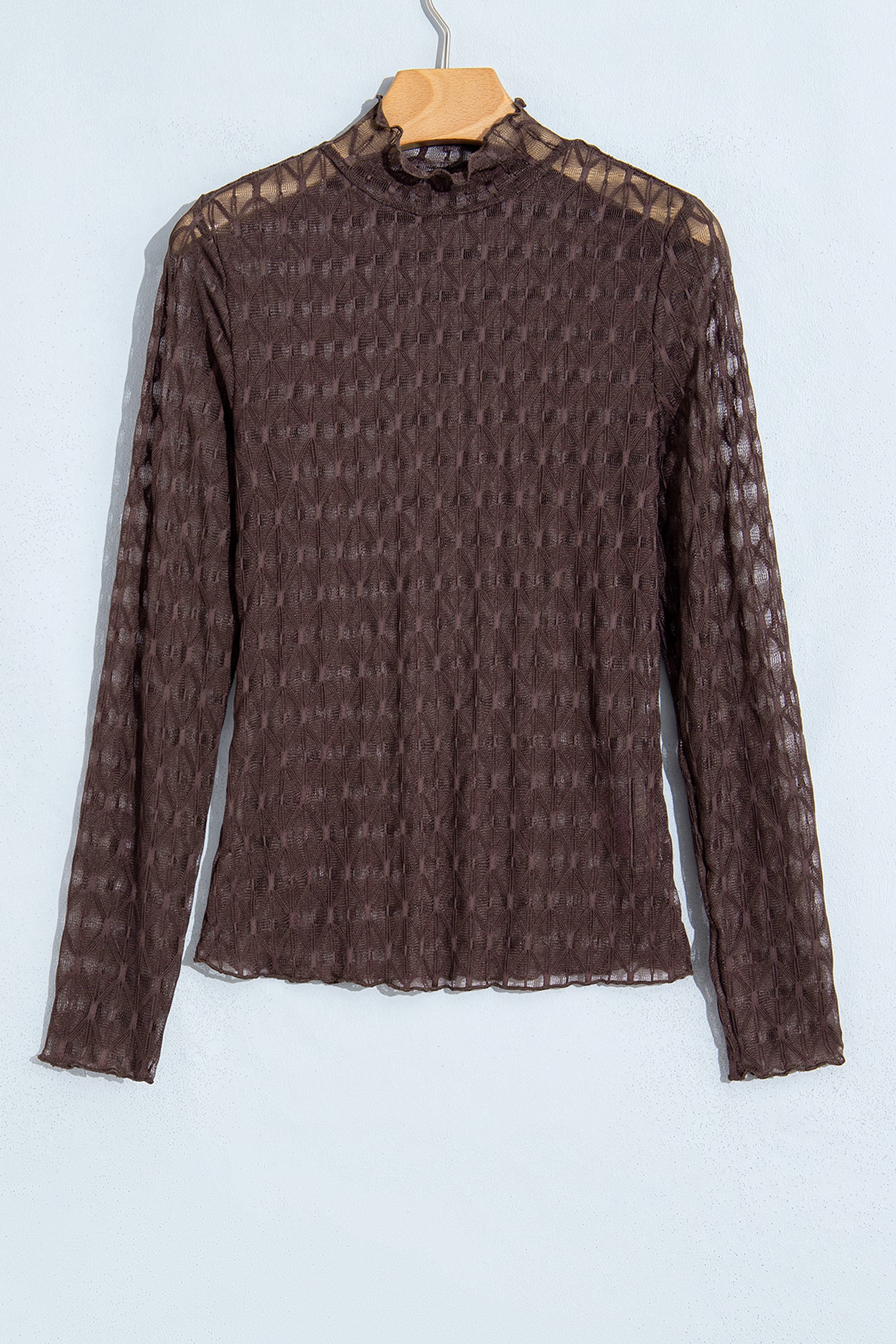 Chicory Coffee Sheer Textured Lace Stand Neck Long Sleeve Top-Tops/Long Sleeve Tops-[Adult]-[Female]-2022 Online Blue Zone Planet
