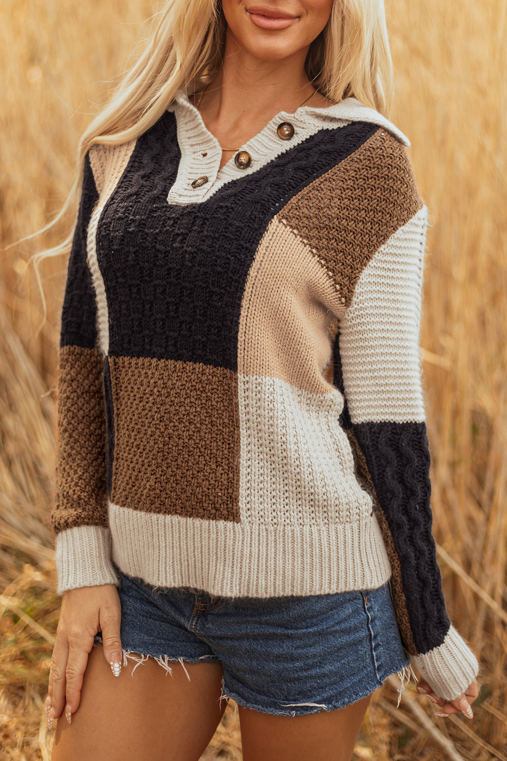 Multicolour Color Block Cable Knit Sleeve Buttons Collared Sweater-TOPS / DRESSES-[Adult]-[Female]-2022 Online Blue Zone Planet