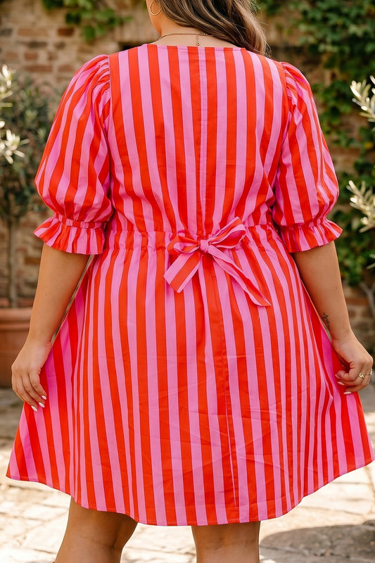 Rose Stripe Frilled Collar Button Neck Short Sleeve Curvy Mini Dress-Plus Size/Plus Size Dresses-[Adult]-[Female]-2022 Online Blue Zone Planet