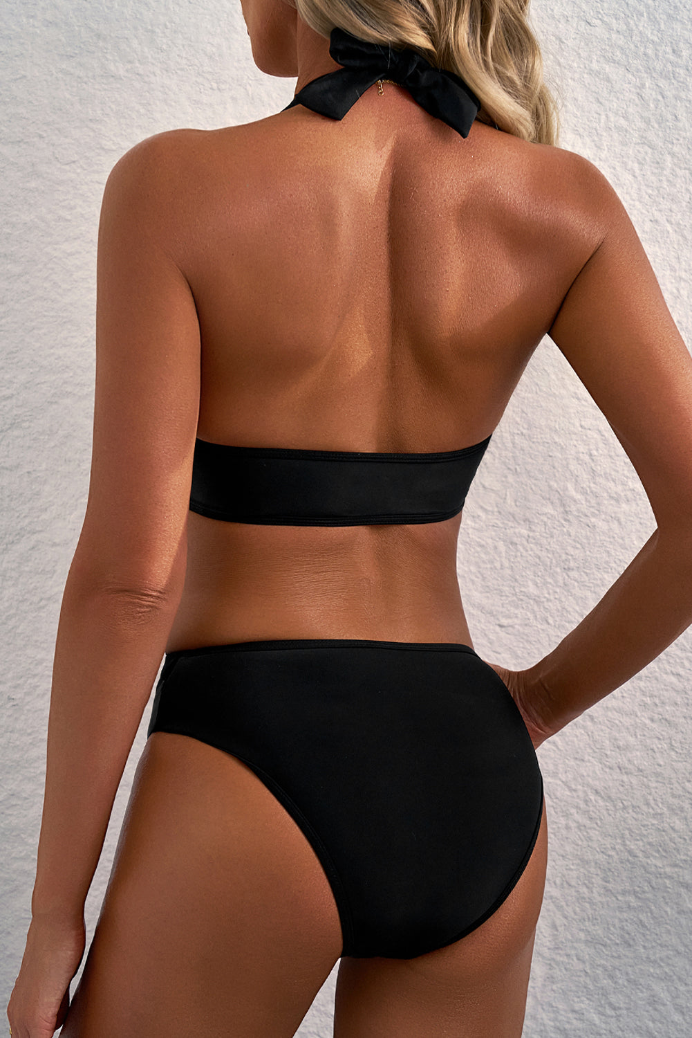 Black Sheer Mesh Edged Halter V Neck Push Up Bikini-Swimwear/Bikinis-[Adult]-[Female]-2022 Online Blue Zone Planet