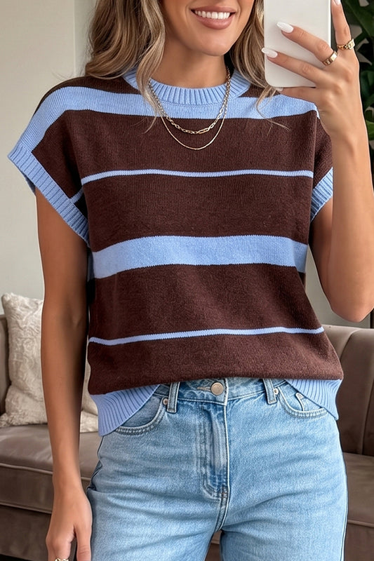 Sky Blue Stripe Striped Short Sleeve Round Neck Casual Knit Top-TOPS / DRESSES-[Adult]-[Female]-Sky Blue Stripe-S-2022 Online Blue Zone Planet