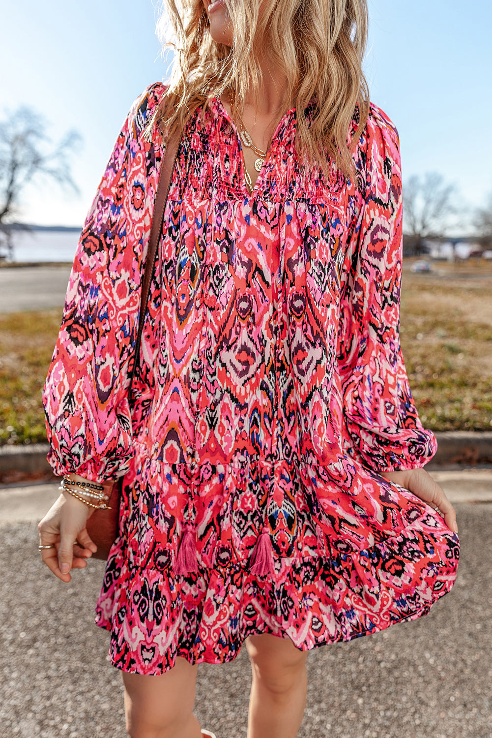 Rose Abstract Printed Tassel Tied Neck Long Sleeve Ruffled Mini Dress-Dresses/Mini Dresses-[Adult]-[Female]-2022 Online Blue Zone Planet