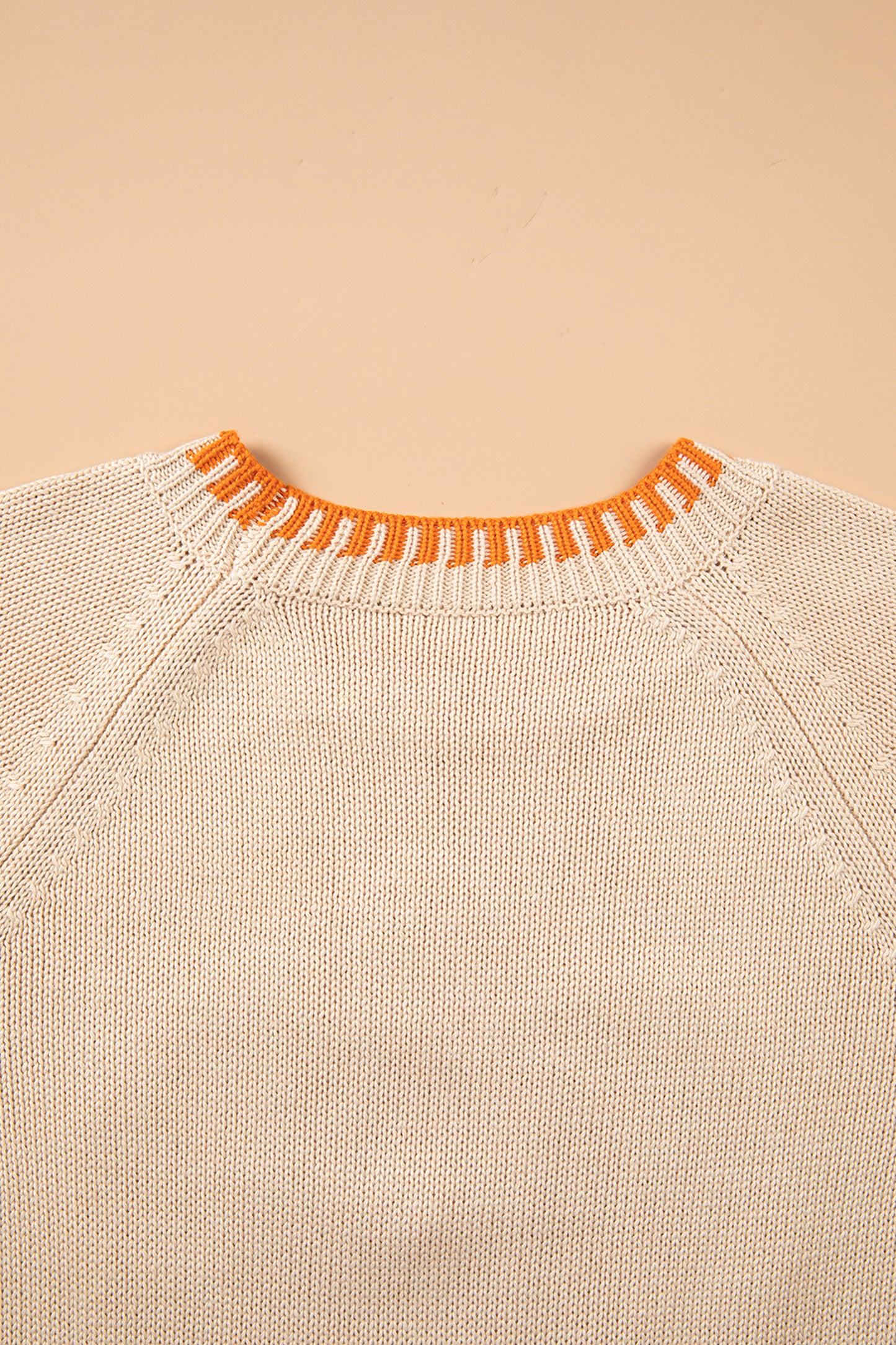 Parchment Floral Embroidery Pumpkin Long Sleeve Round Neck Sweater-Sweaters & Cardigans/Sweaters-[Adult]-[Female]-2022 Online Blue Zone Planet