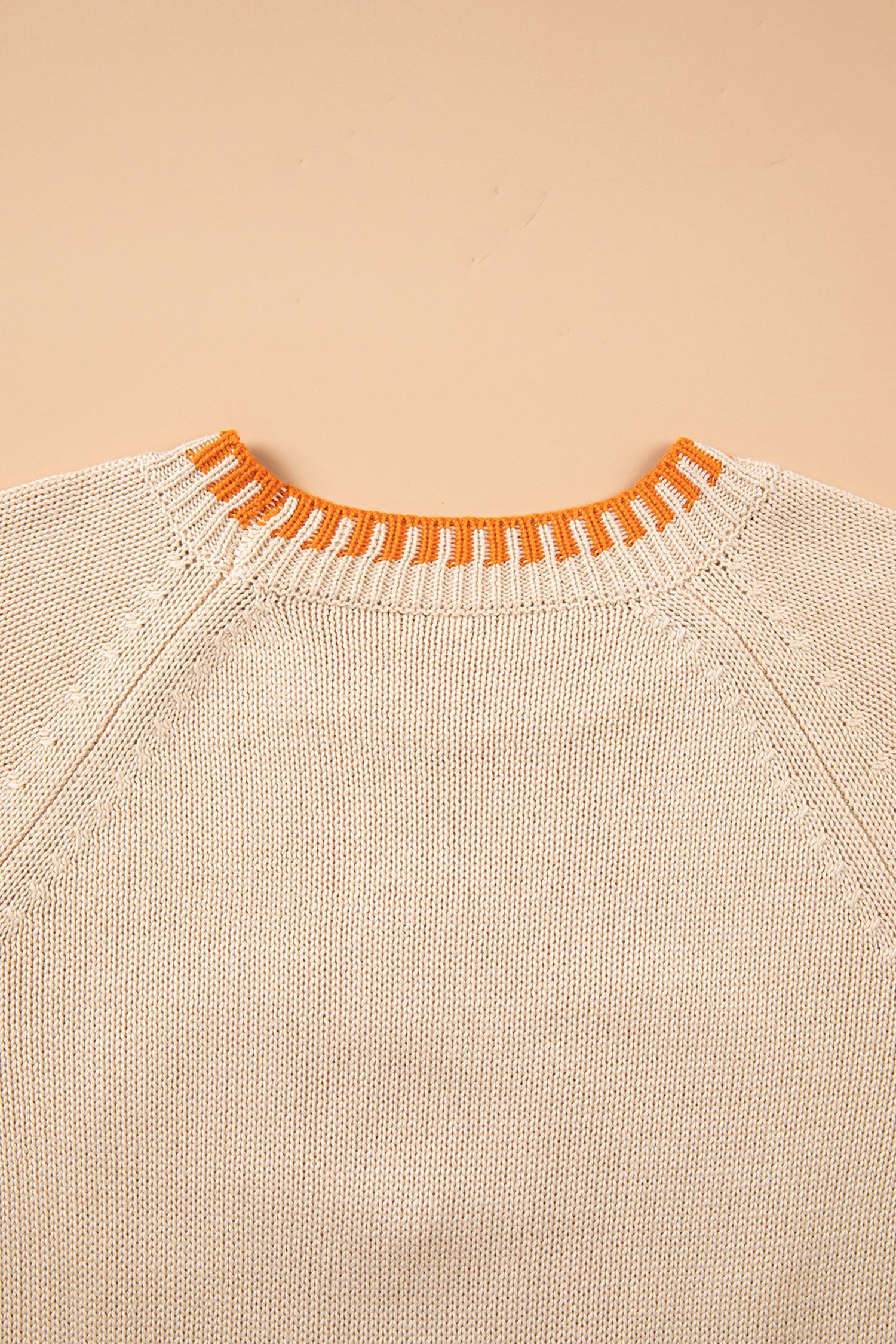 Parchment Floral Embroidery Pumpkin Long Sleeve Round Neck Sweater-Sweaters & Cardigans/Sweaters-[Adult]-[Female]-2022 Online Blue Zone Planet