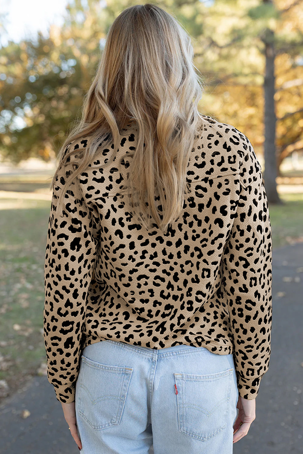 Parchment Leopard Polo Collar V Neck Pullover Top-Tops/Long Sleeve Tops-[Adult]-[Female]-2022 Online Blue Zone Planet