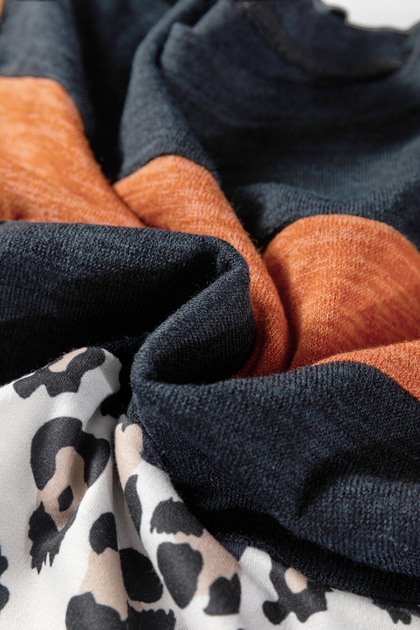 Black Color Block Leopard Patchwork Long Sleeve Casual Top-Tops/Long Sleeve Tops-[Adult]-[Female]-2022 Online Blue Zone Planet