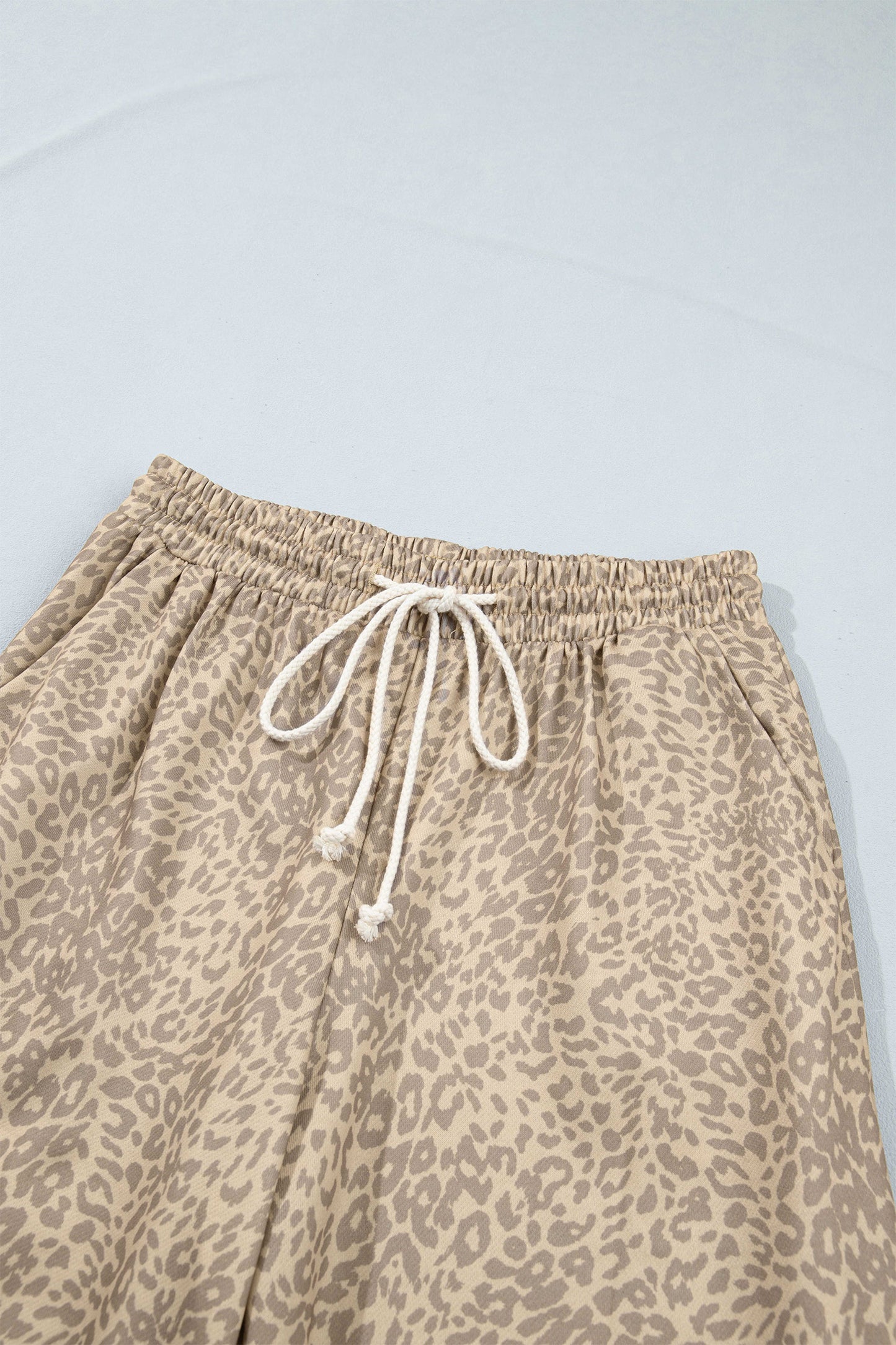 Khaki Leopard Star Print Long Sleeve Loose Casual Two Piece Pants Set-Two Piece Sets/Pant Sets-[Adult]-[Female]-2022 Online Blue Zone Planet