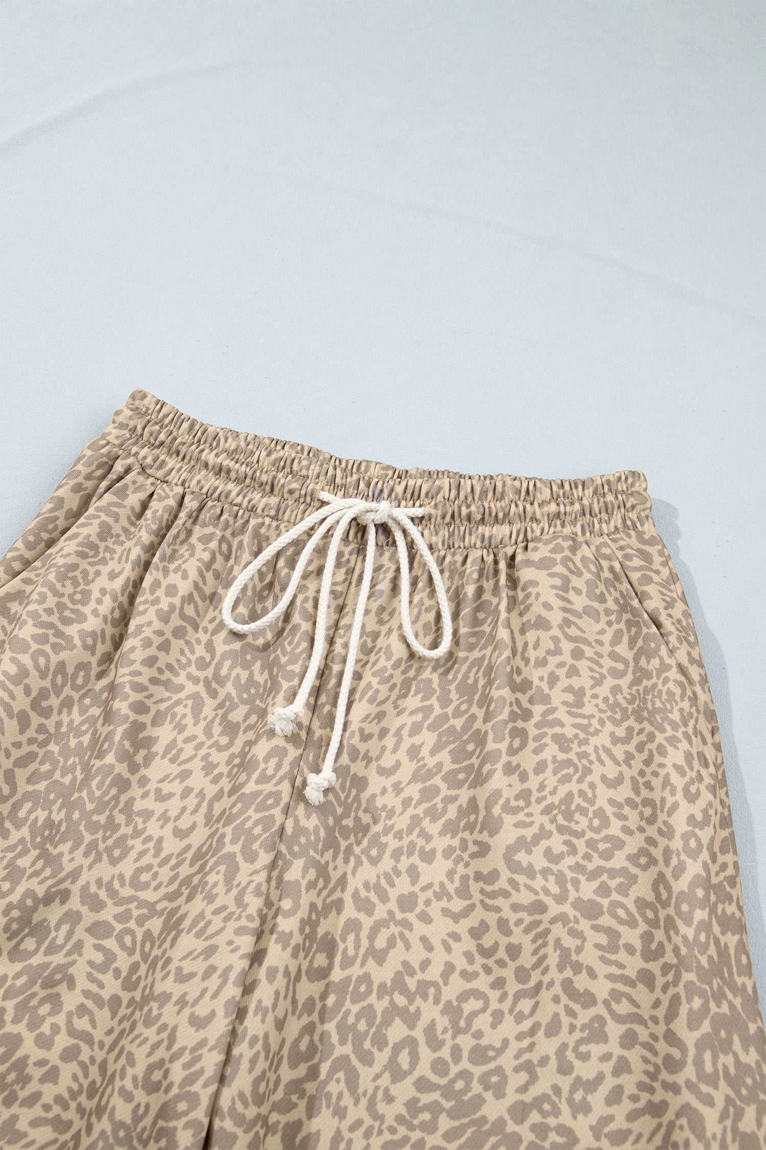 Khaki Leopard Star Print Long Sleeve Loose Casual Two Piece Pants Set-Two Piece Sets/Pant Sets-[Adult]-[Female]-2022 Online Blue Zone Planet