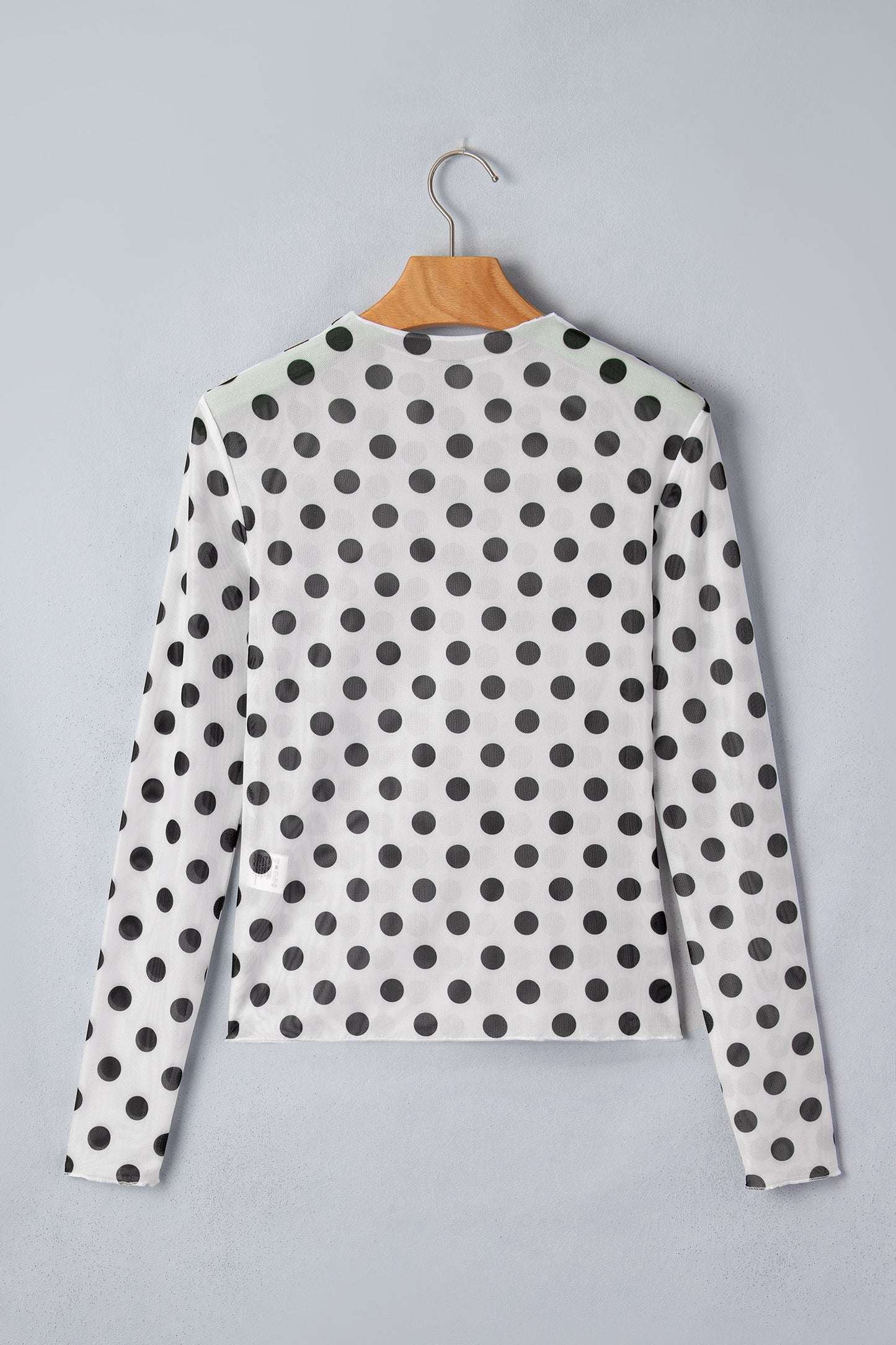 White Polka Dot Sheer Long Sleeve Round Neck Slim Top-Tops/Long Sleeve Tops-[Adult]-[Female]-2022 Online Blue Zone Planet