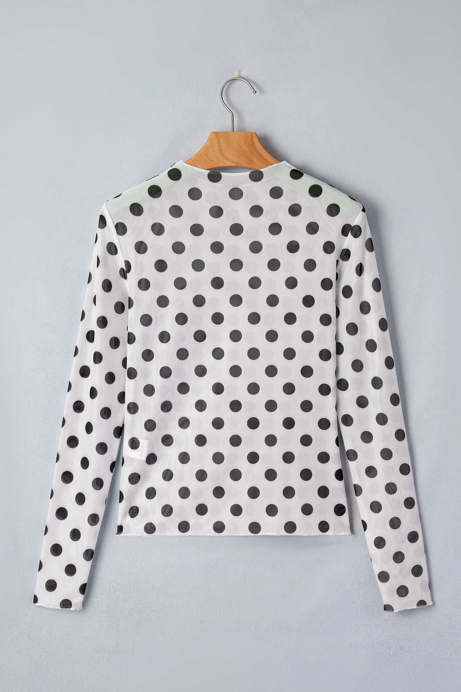 White Polka Dot Sheer Long Sleeve Round Neck Slim Top-Tops/Long Sleeve Tops-[Adult]-[Female]-2022 Online Blue Zone Planet