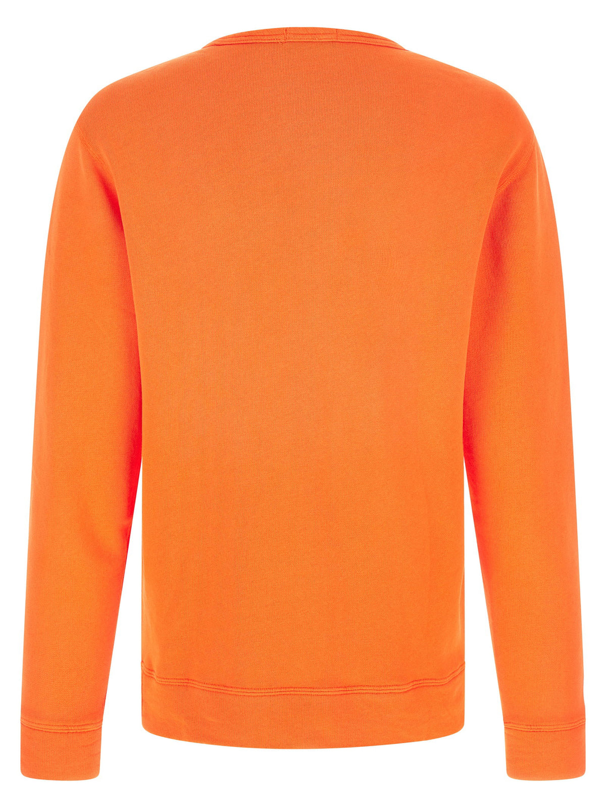 Polo Ralph Lauren Loopback Cotton Sweatshirt-Topwear-[Adult]-[Female]-2022 Online Blue Zone Planet