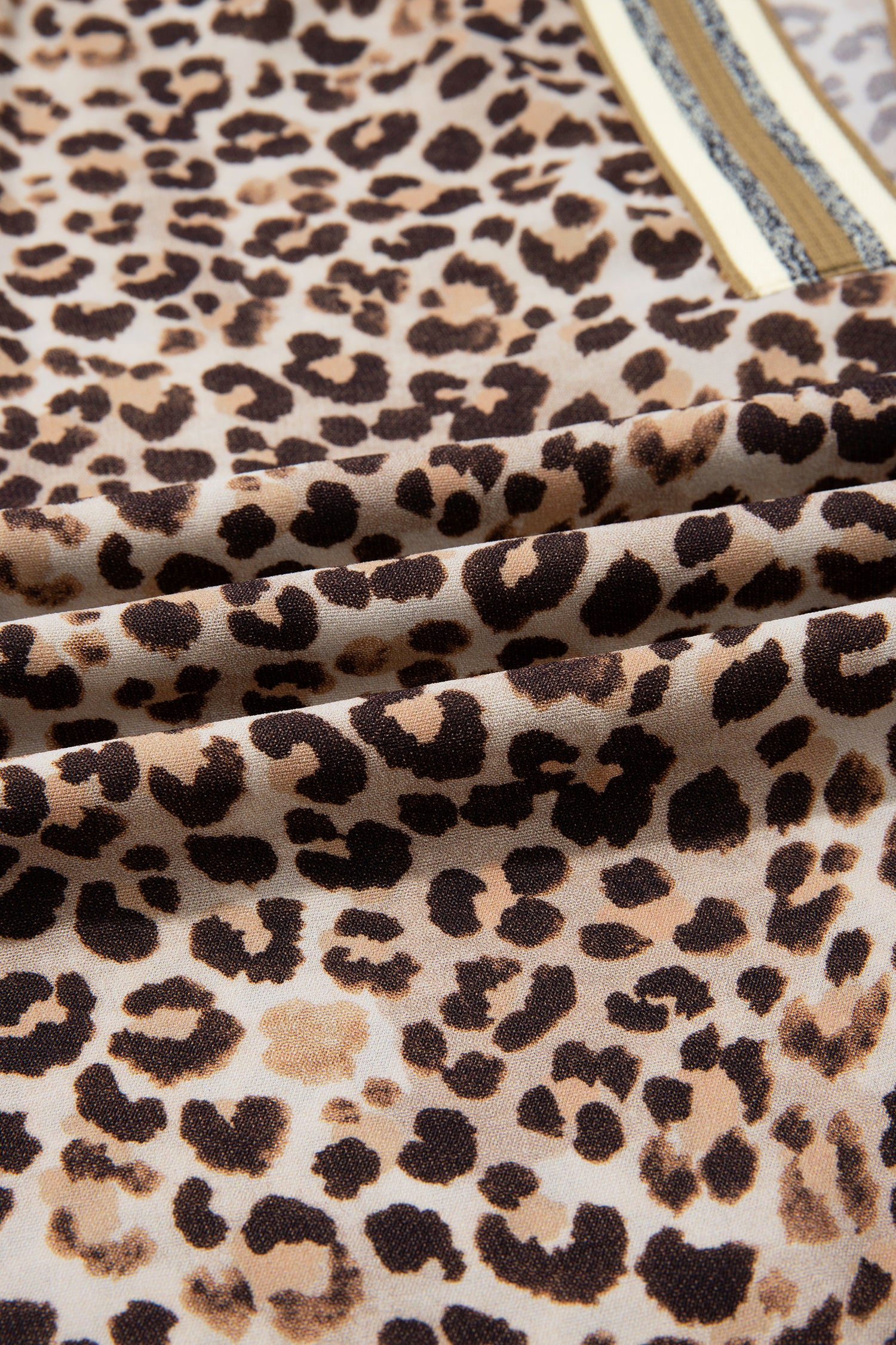 Leopard Contrast Trim V Neck Half Sleeve Western Dolman Blouse-Tops/Blouses & Shirts-[Adult]-[Female]-2022 Online Blue Zone Planet